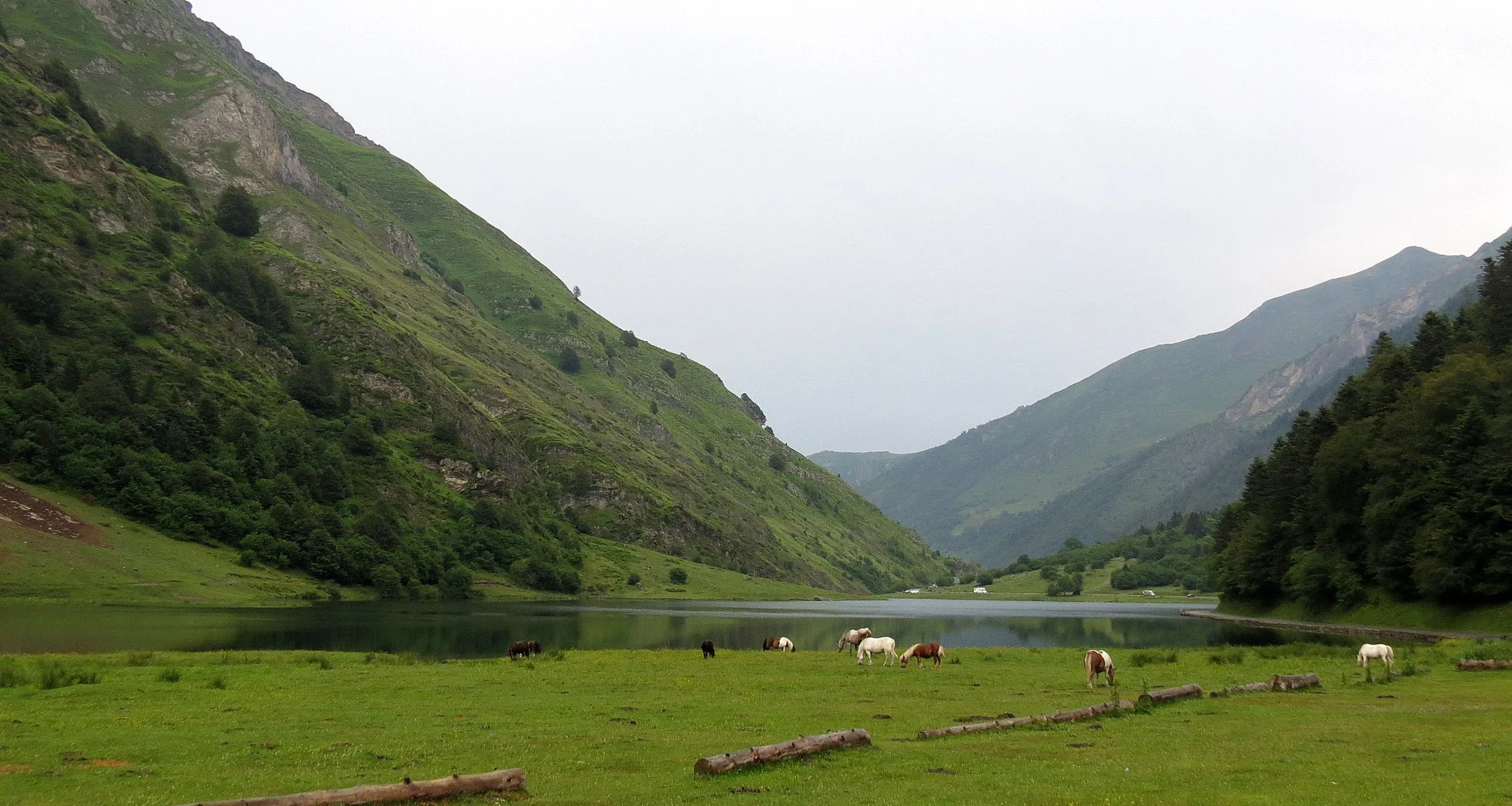 ARRENS - MARSOUS - PYRENEES NATIONAL PARK FRANCE (10).JPG