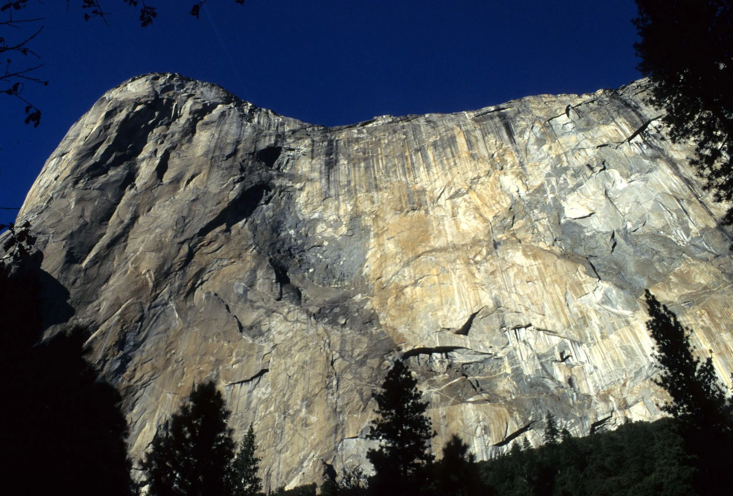 CALIFORNIA - YOSEMITE NP  (8).jpg