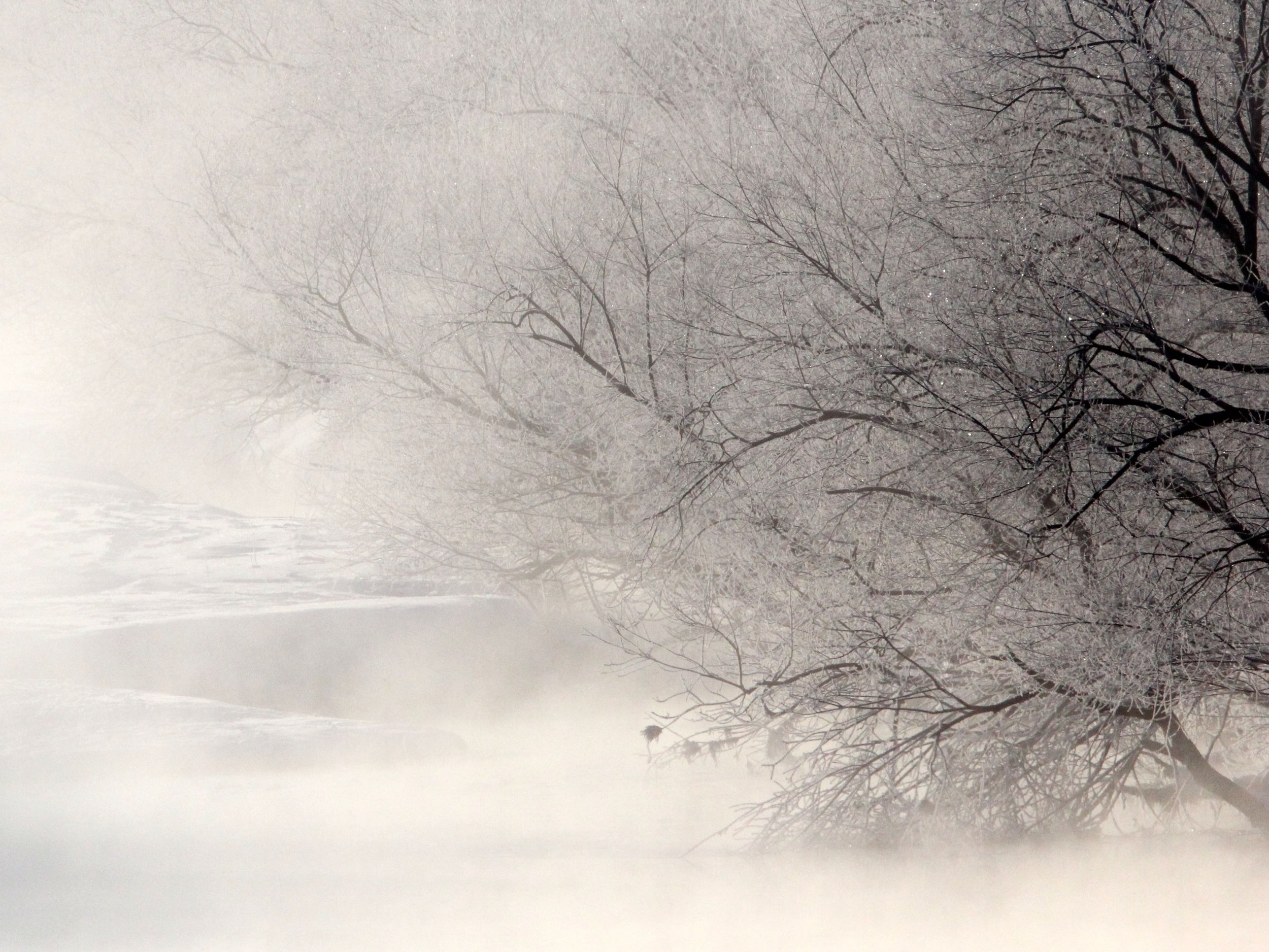 OTOWABASHI SETSUGAWA - TSURUI TOWN - HOKKAIDO JAPAN (42).JPG