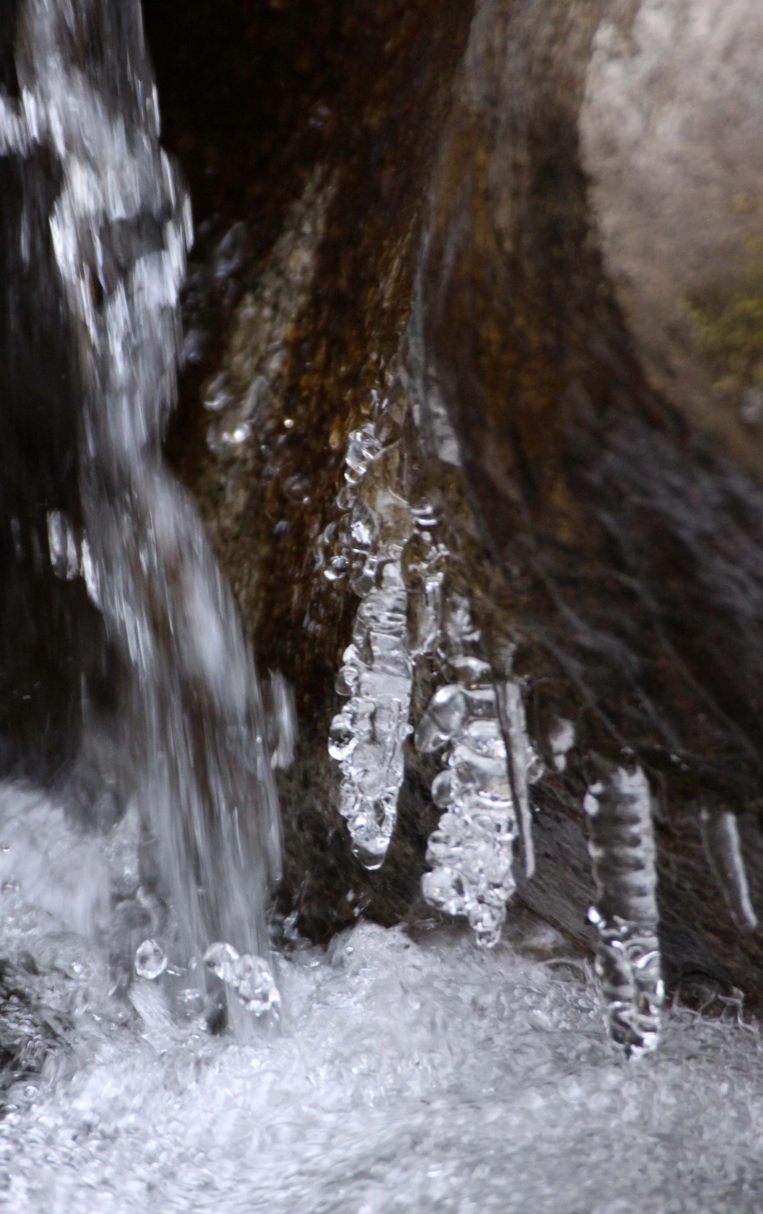 FOPING NATURE RESERVE - SHAANXI PROVINCE CHINA (135).JPG