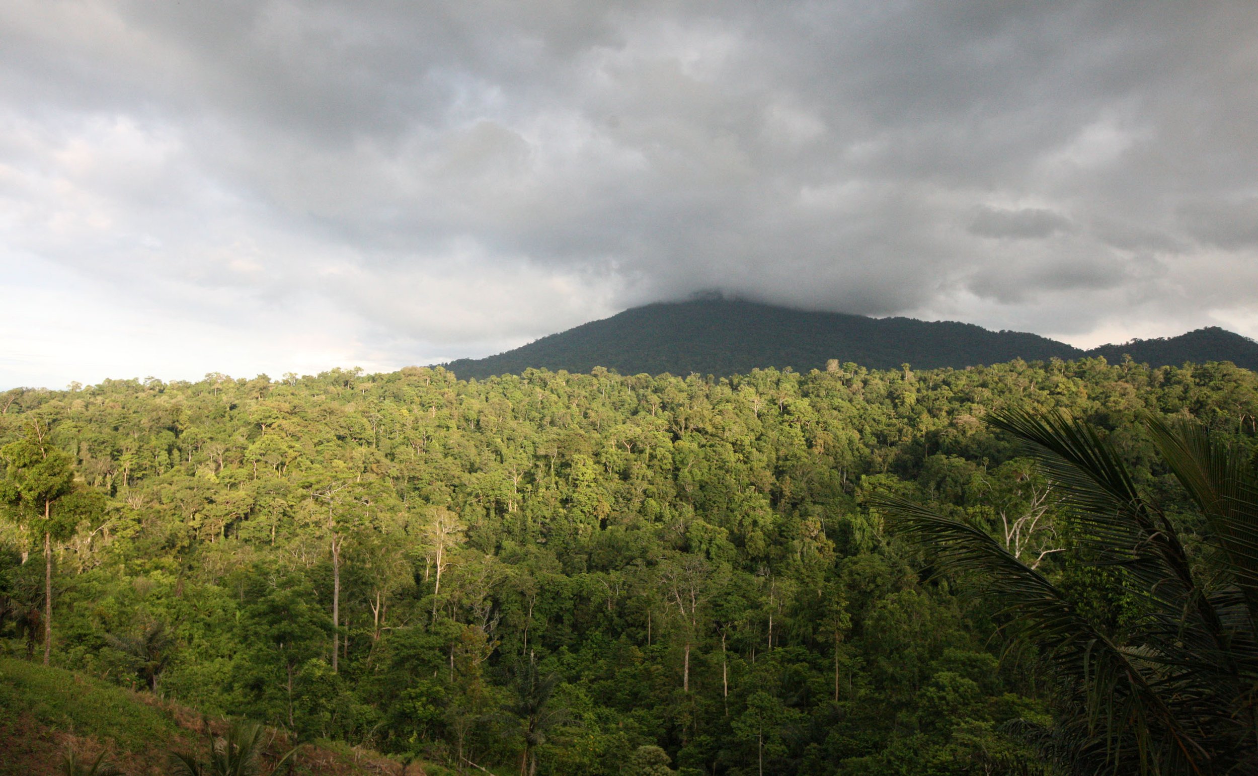 TANGKOKO LODGE - TANGKOKO NATIONAL PARK INDONESIA (39).JPG