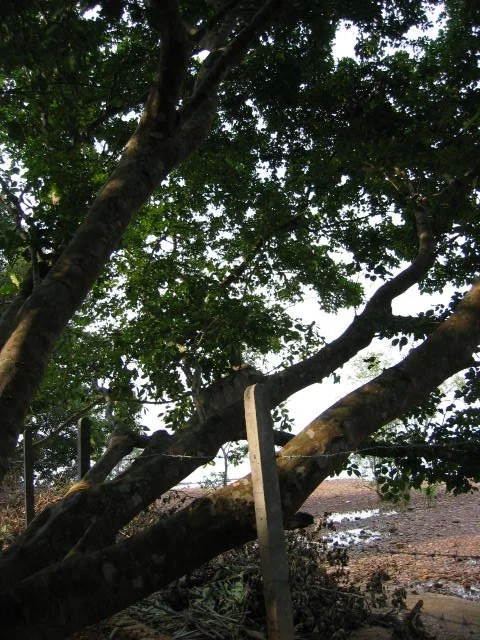 KOH LANTA - PROPERTY - 2005 (73).jpg