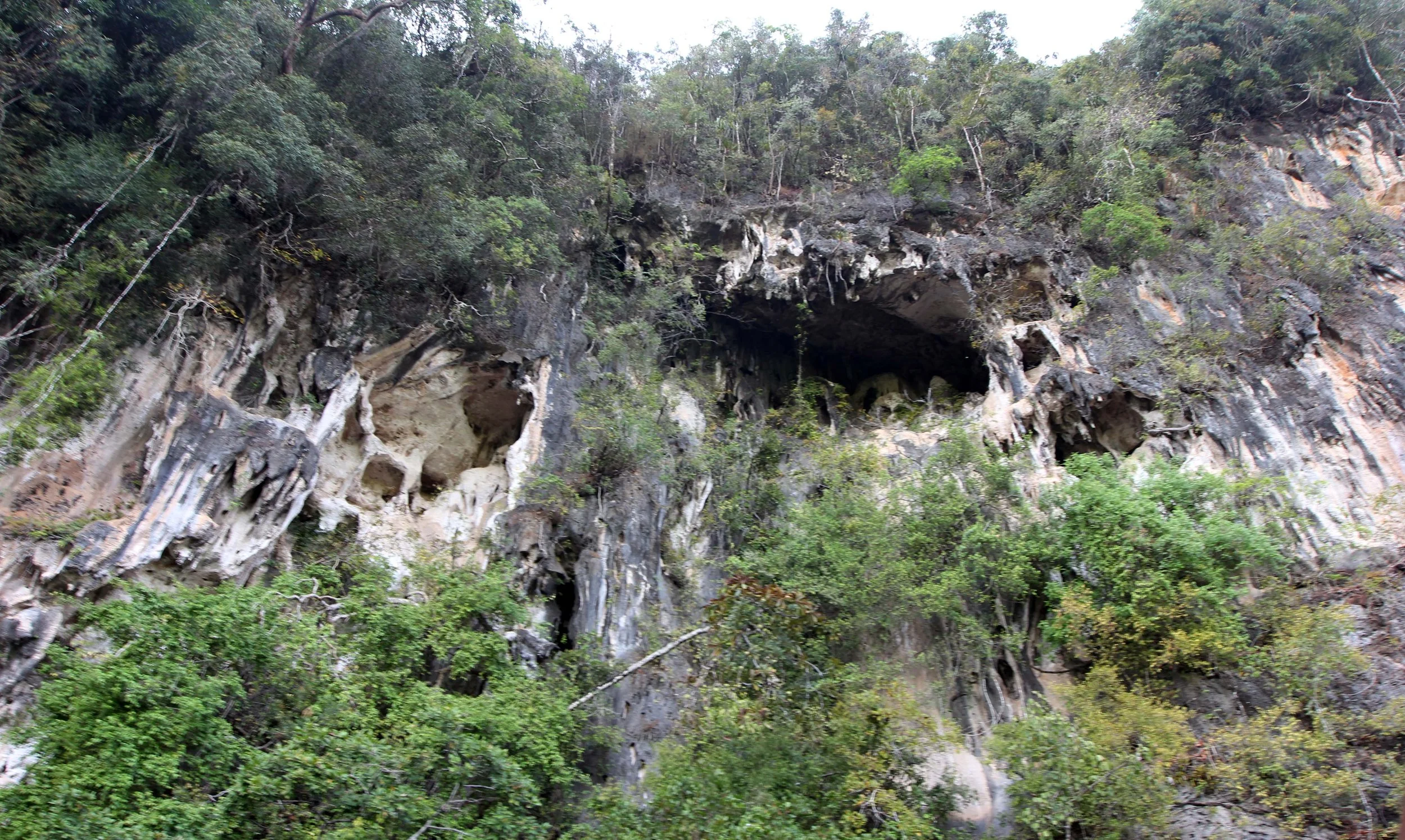 2014 ISB Trip to Khao Sok National Park Karos Island Ao Luek (48).JPG