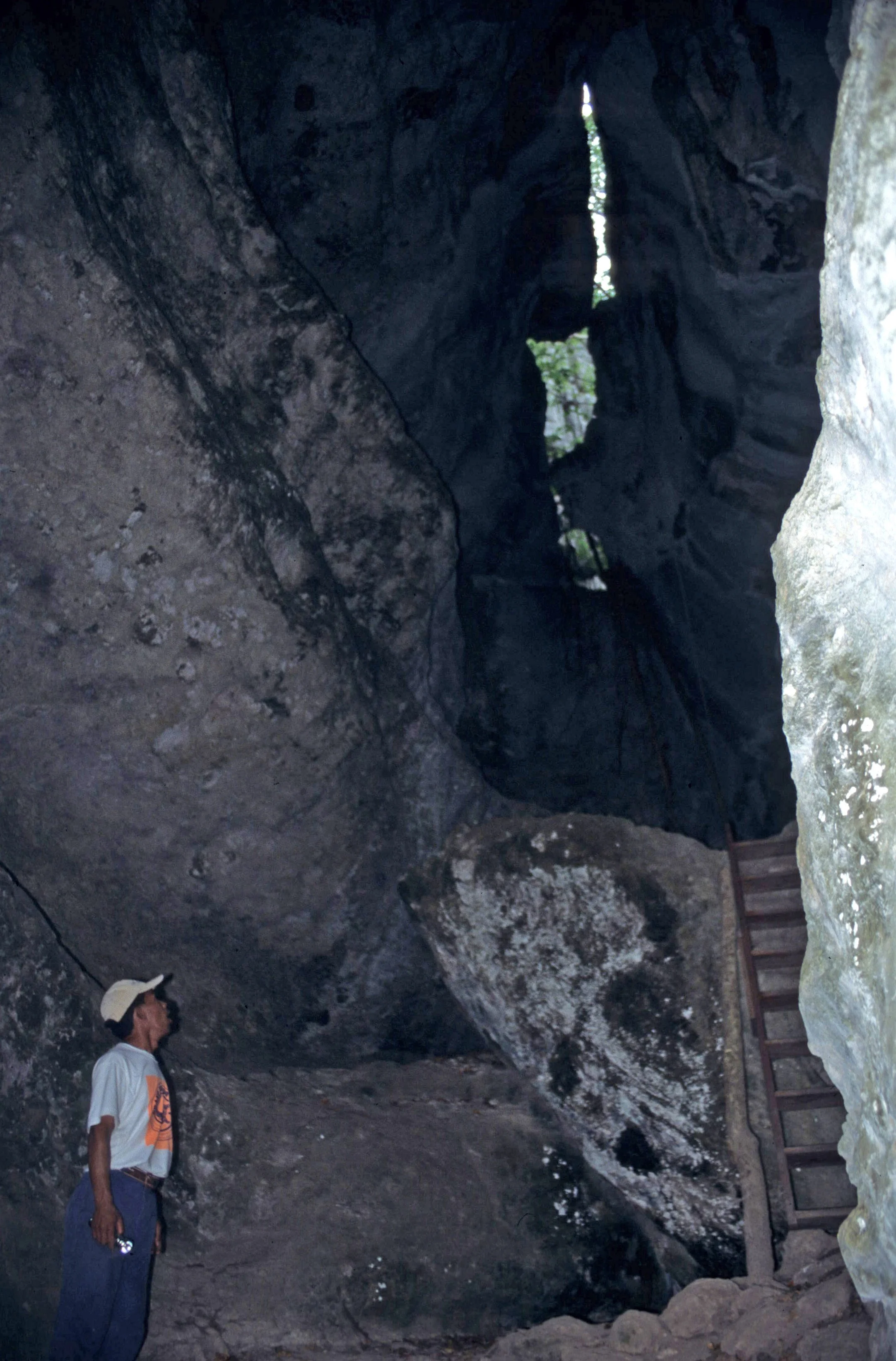 FLORES - CAVE C.jpg