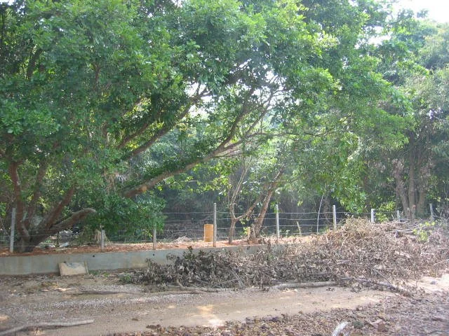 KOH LANTA - PROPERTY - 2005 (28).jpg