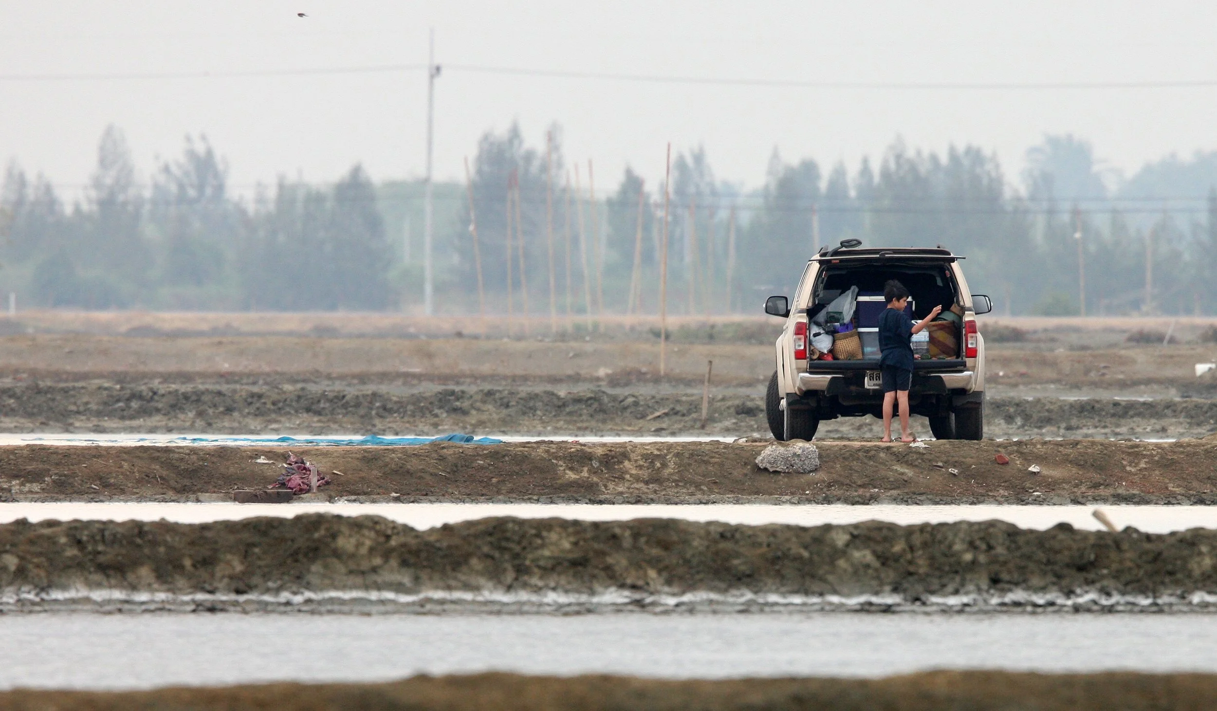 2011 Pak Thale Salt Ponds (15).JPG