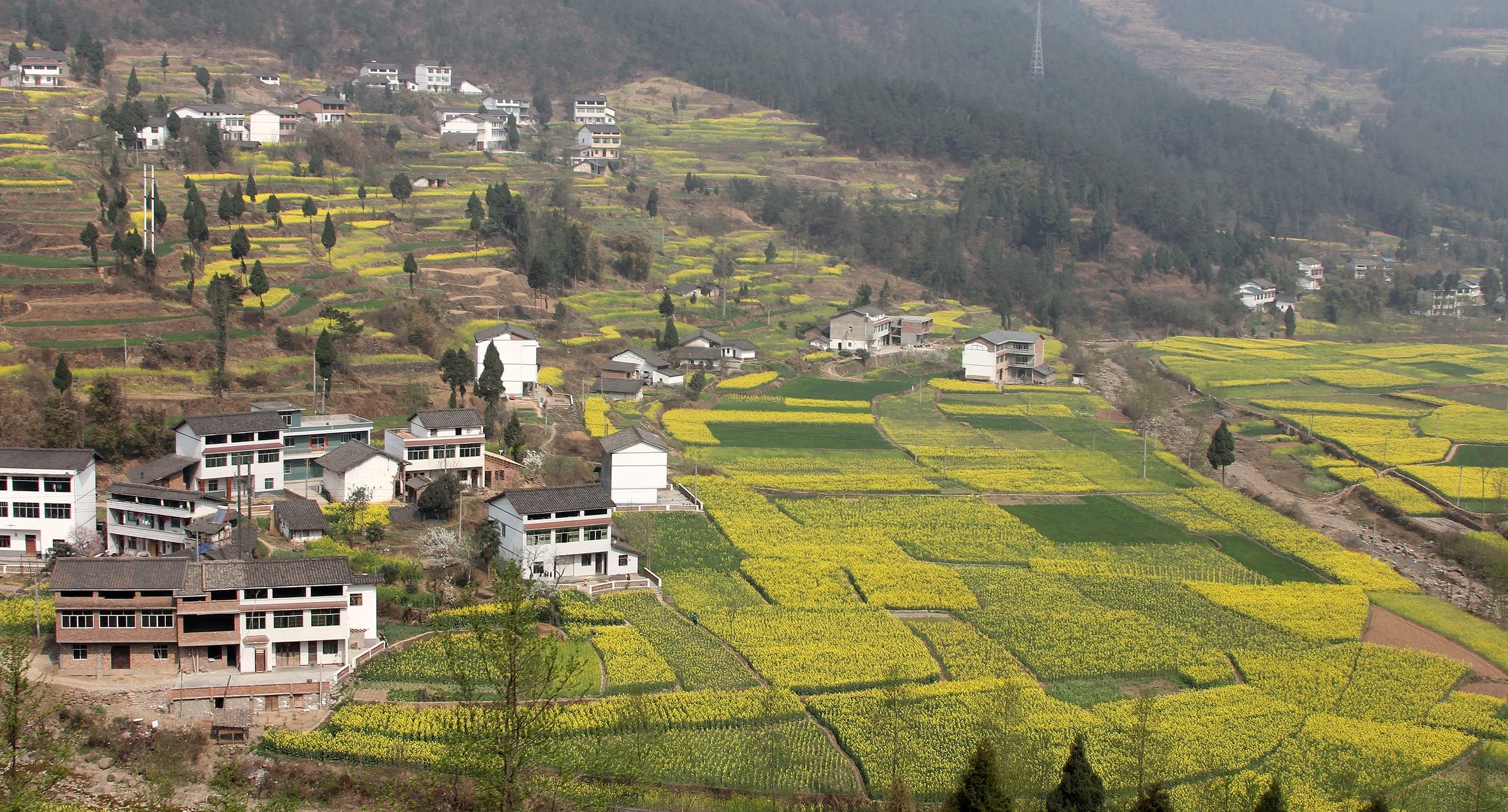 QINGCHUAN AND SURROUNDING AREA - SICHUAN CHINA (11).JPG