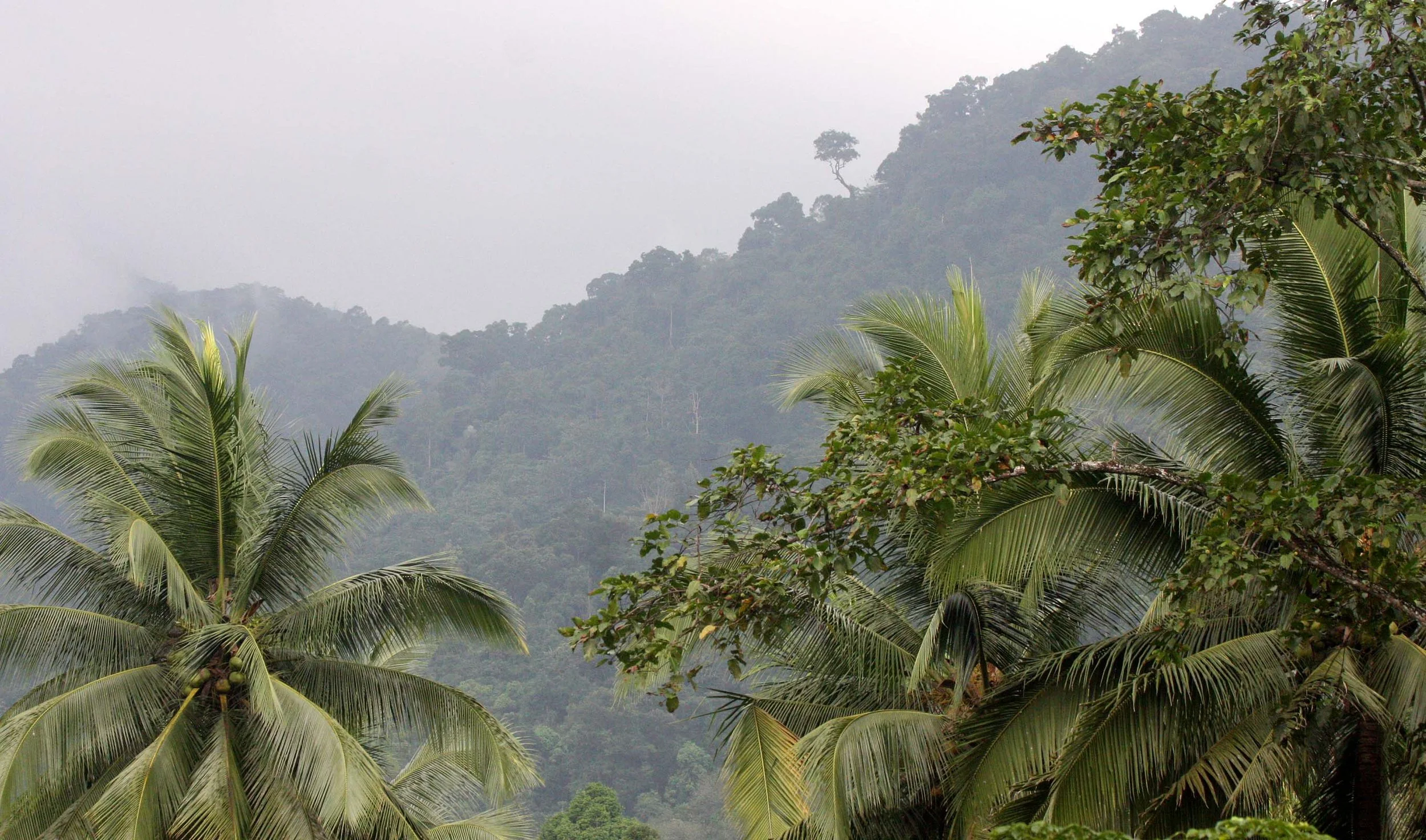 2009 Promluk Property Views (9).JPG