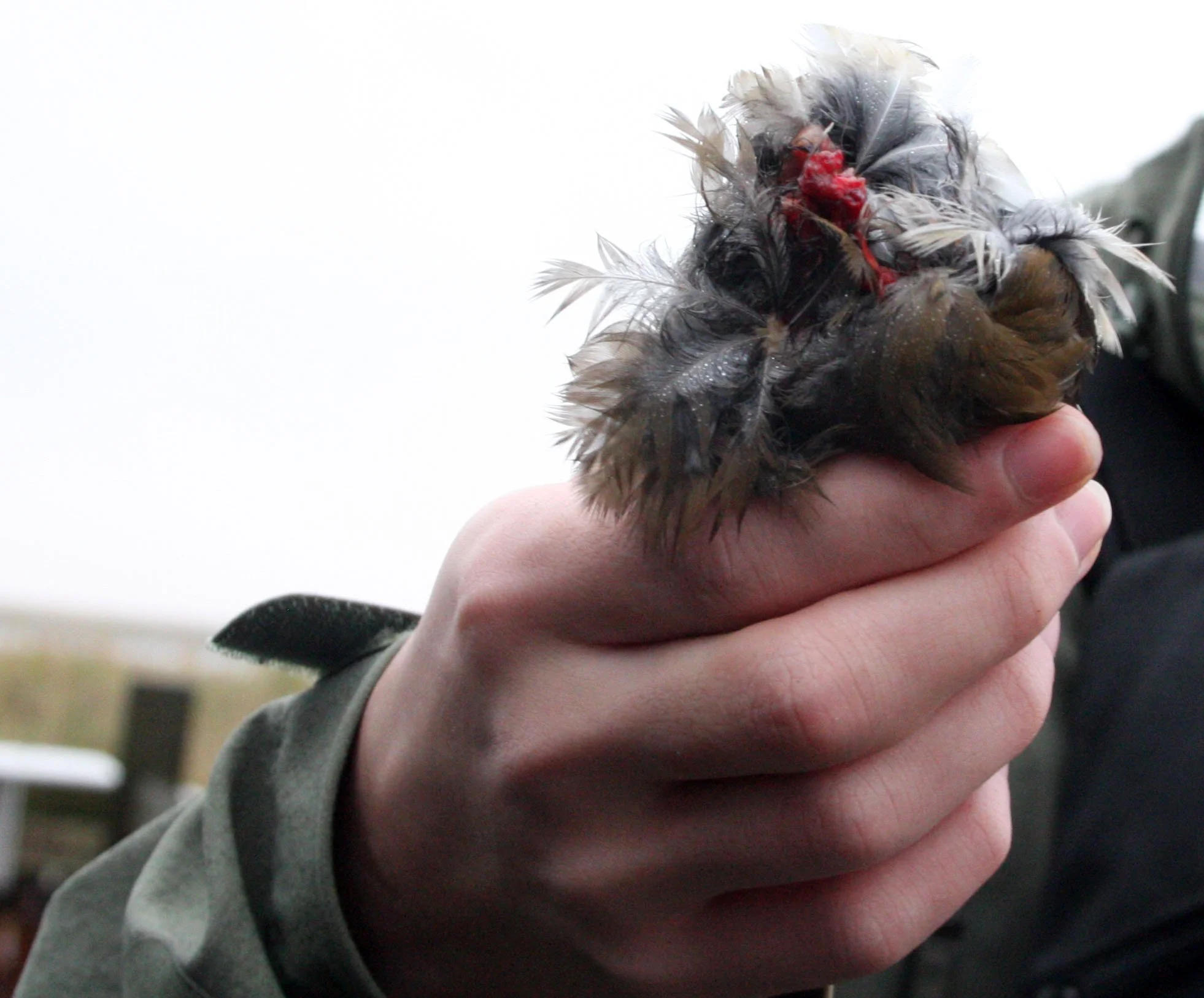 CHONGMING ISLAND - COKIE  (7).JPG