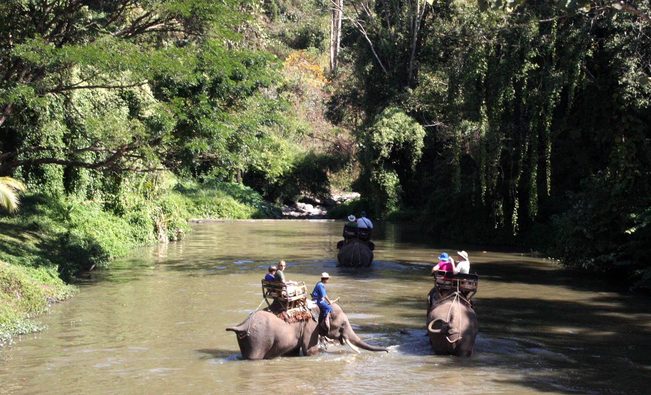 2008 Lampang City & Elephant Center (21).JPG