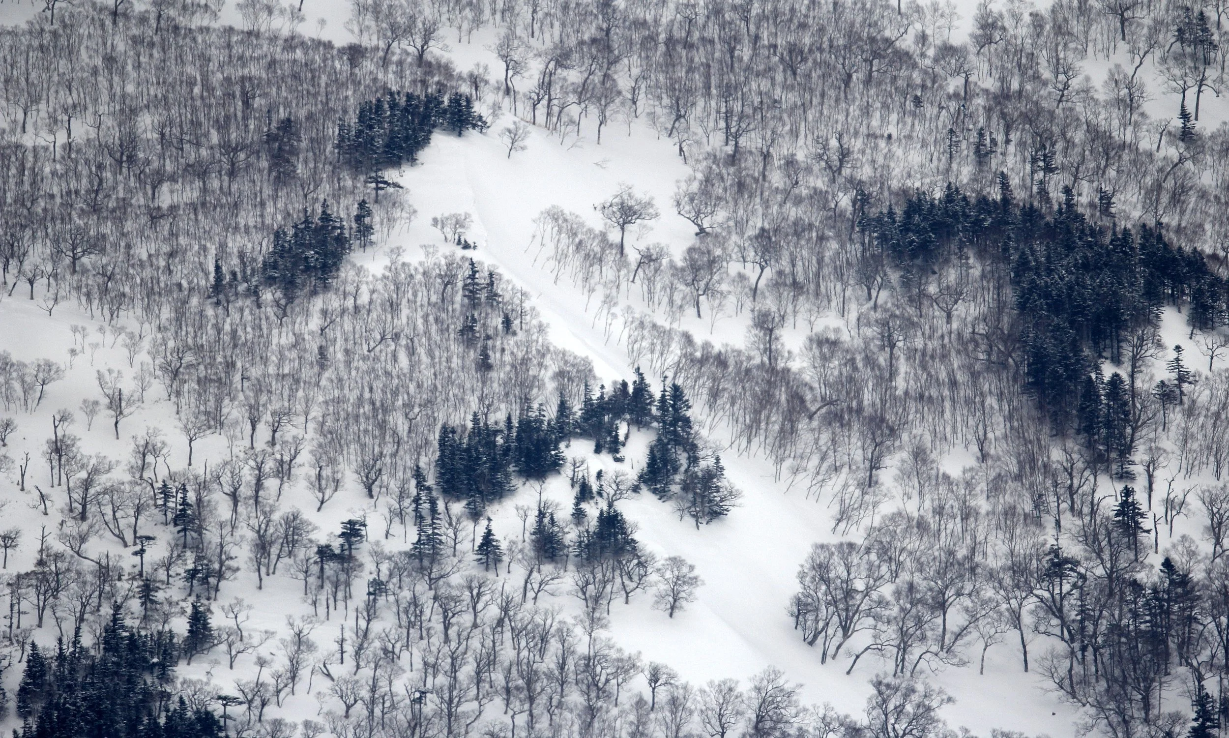 RAUSU, SHIRETOKO PENINSULA & NATIONAL PARK - HOKKAIDO JAPAN (32).JPG