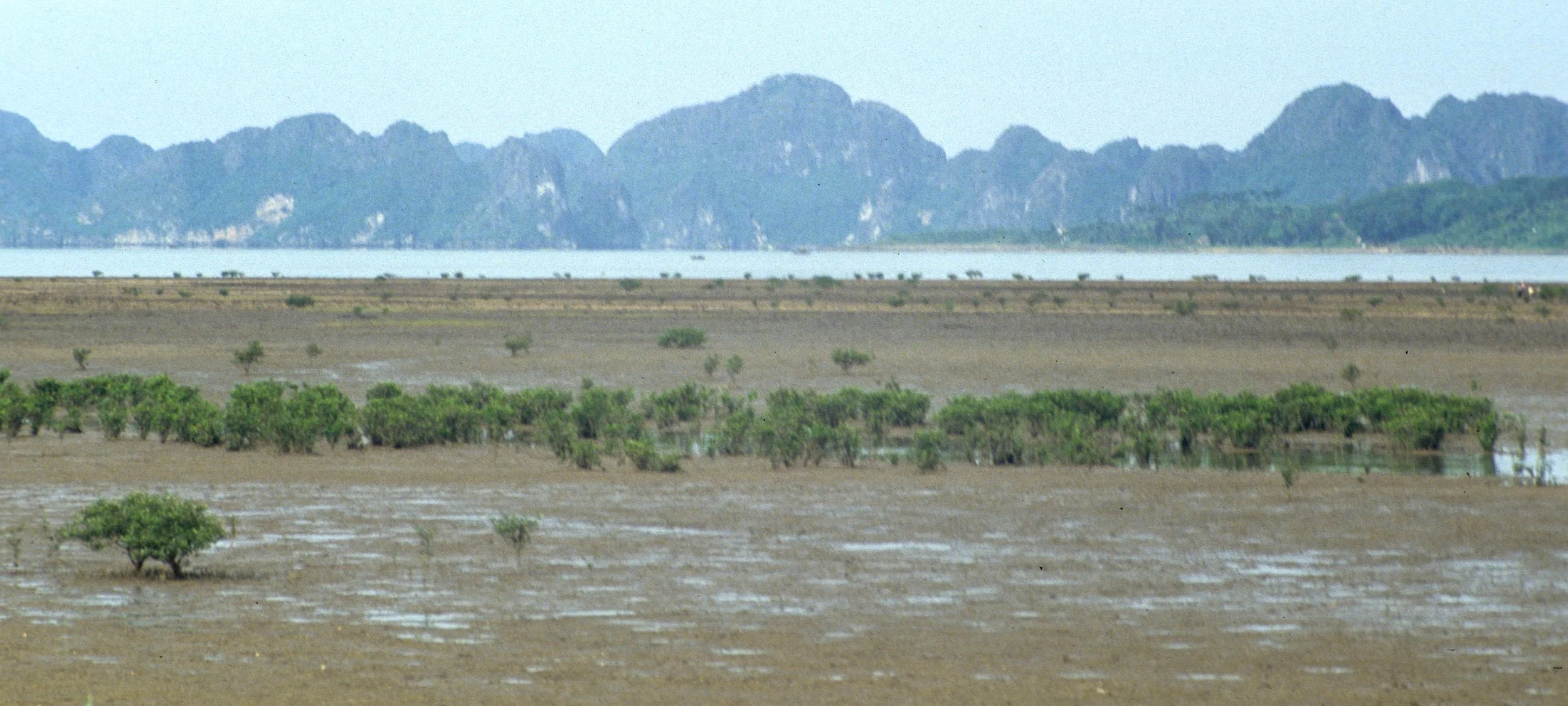 HALONG BAY - 1994 (17).jpg