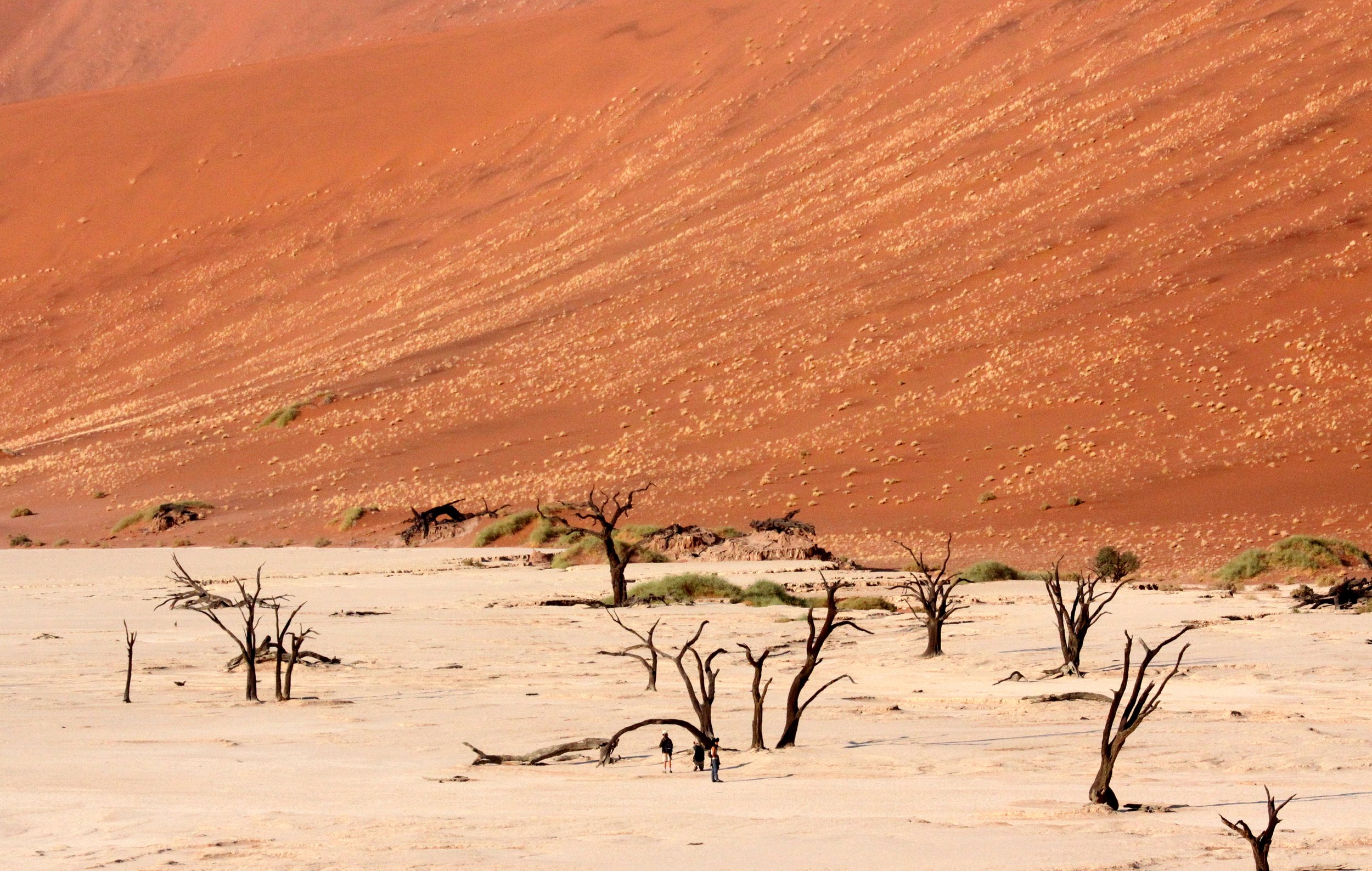 SOSSUSVLEI, NAMIB NAUKLUFT NATIONAL PARK, NAMIBIA - DEAD VLEI (4).JPG