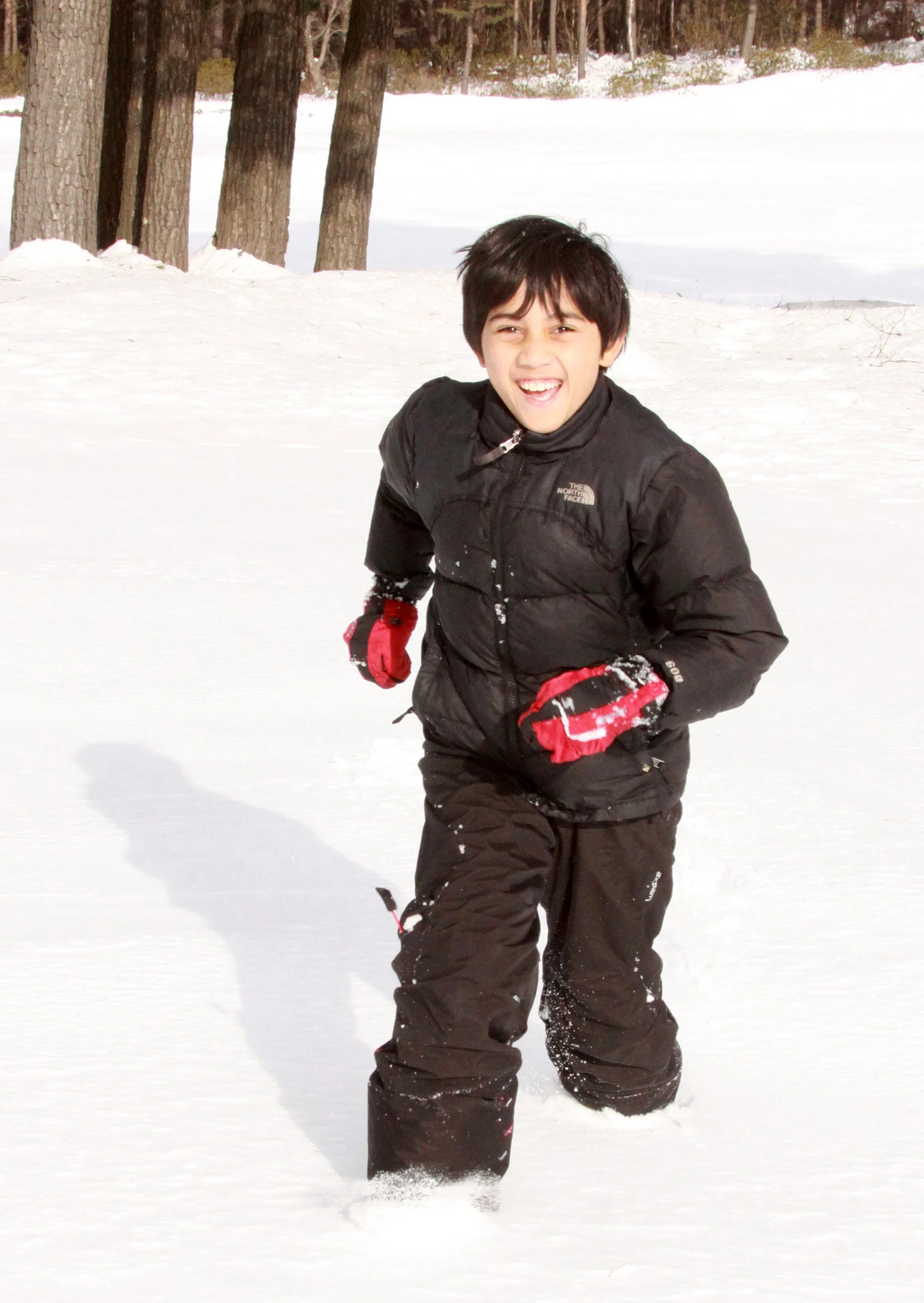 MOUNT ASAMA - JOSHIN'ETSUKOGEN NATIONAL PARK JAPAN (51).JPG
