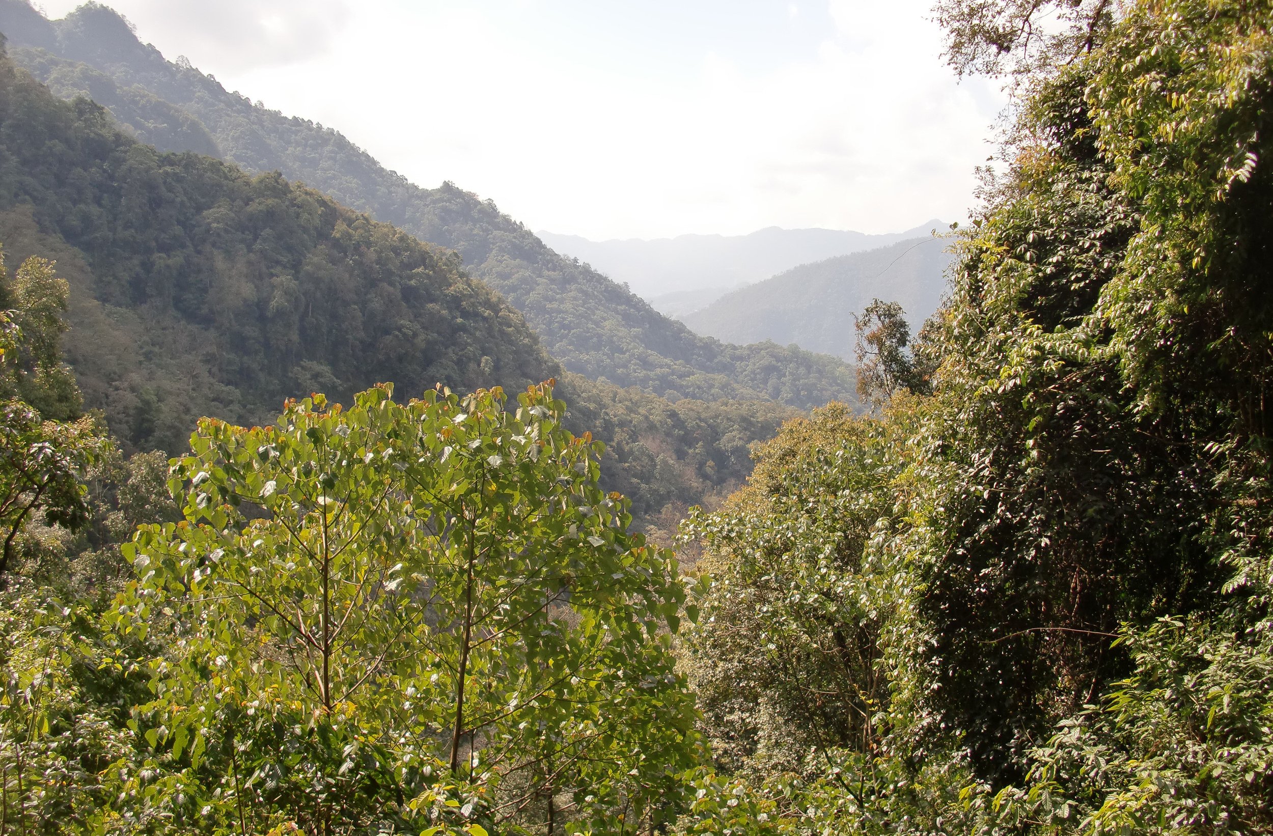 Wuliangshan Wildlife Reserve