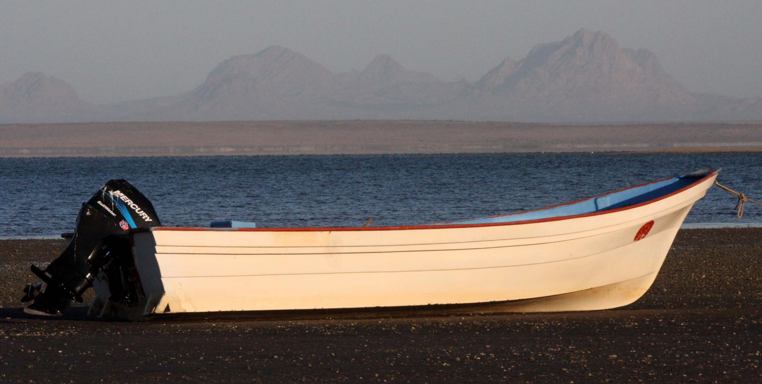 SAN IGNACIO LAGOON BAJA MEXICO - PANGA.JPG