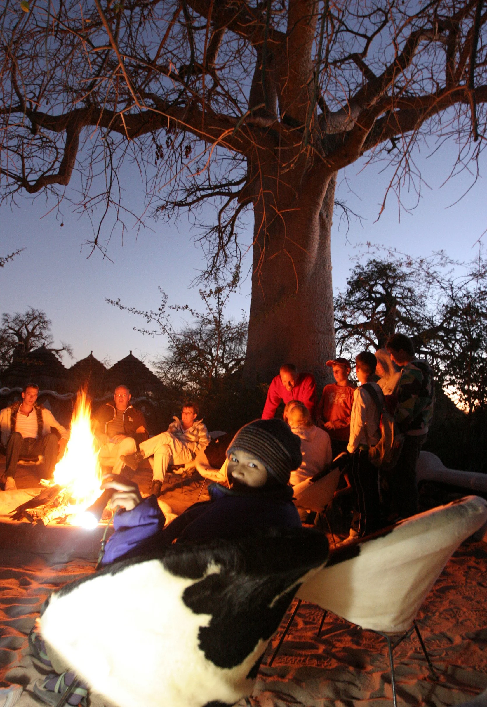 BOTSWANA - DESERT PLANET BAOBAB BOTSWANA (7).JPG