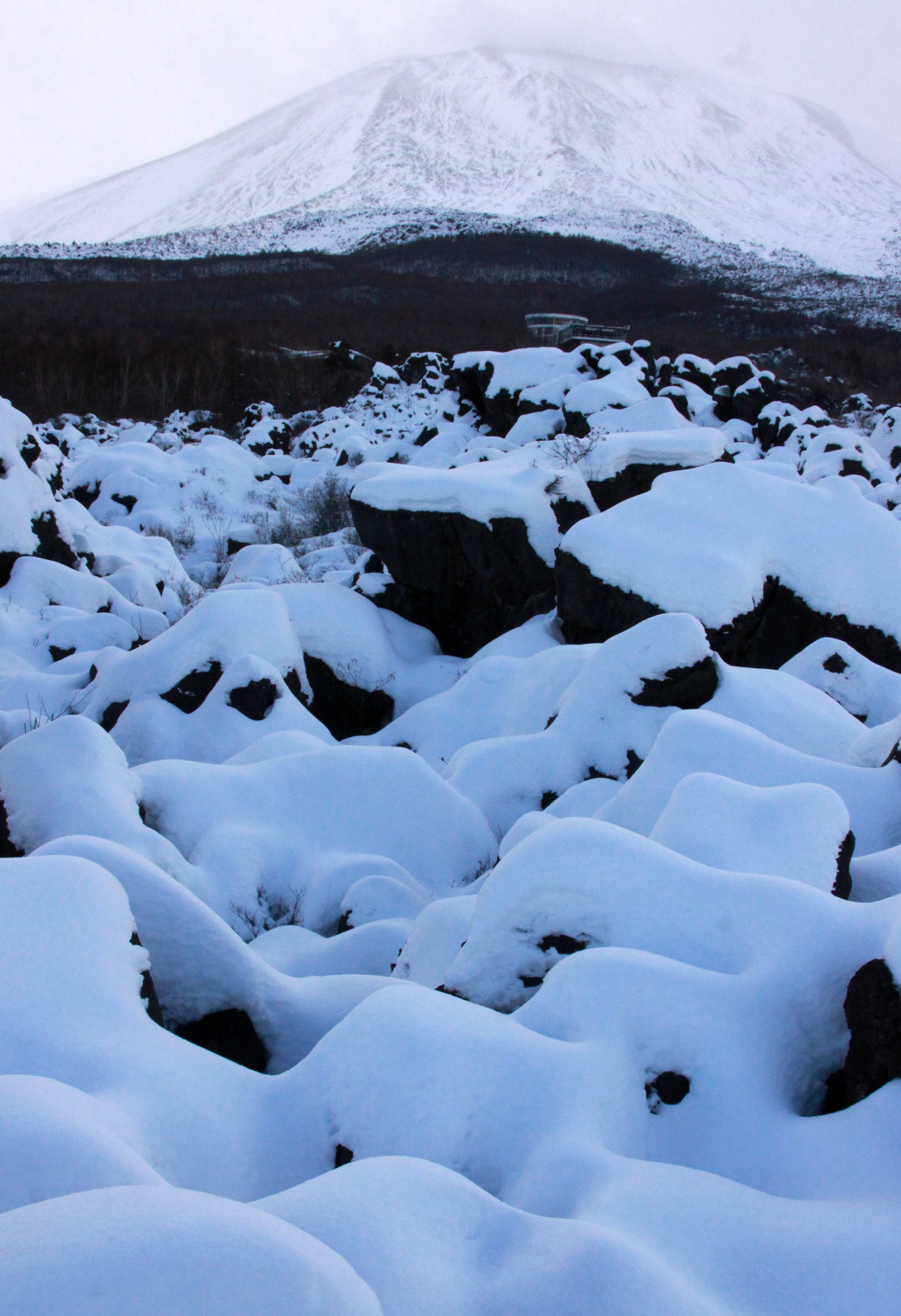 MOUNT ASAMA - JOSHIN'ETSUKOGEN NATIONAL PARK JAPAN (81).JPG
