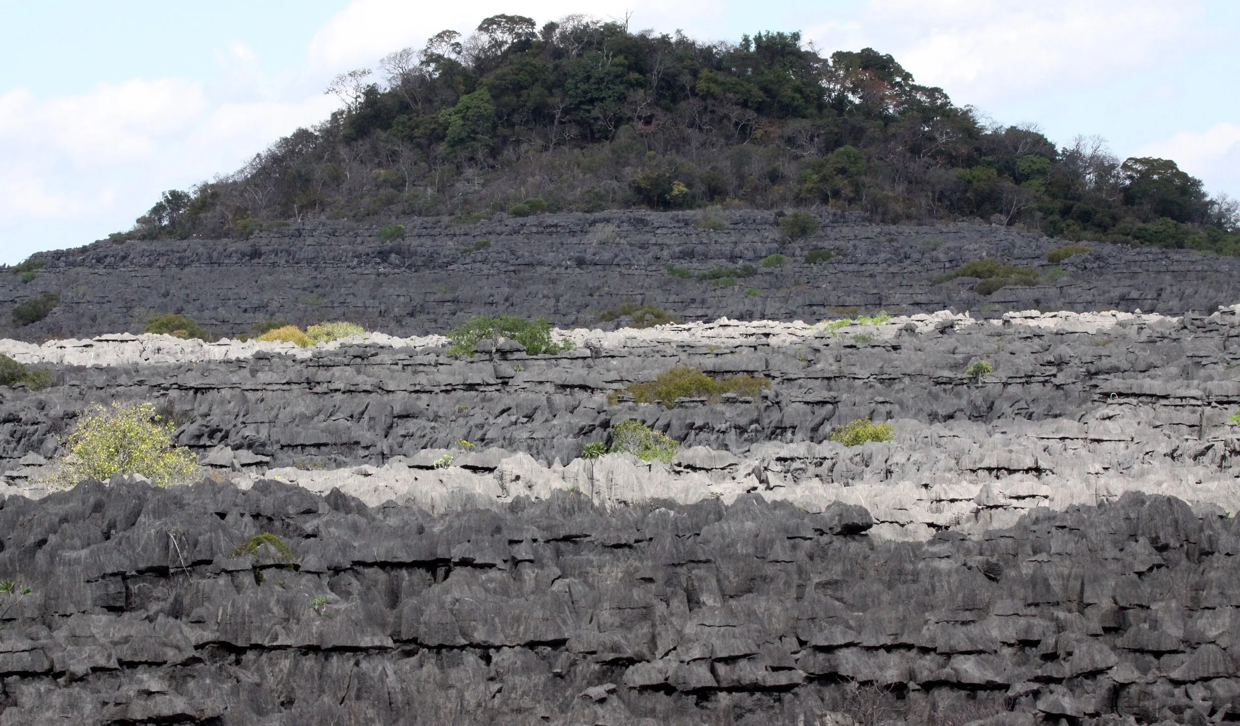 ANKARANA NATIONAL PARK MADAGASCAR - TSINGY FOREST (28).JPG