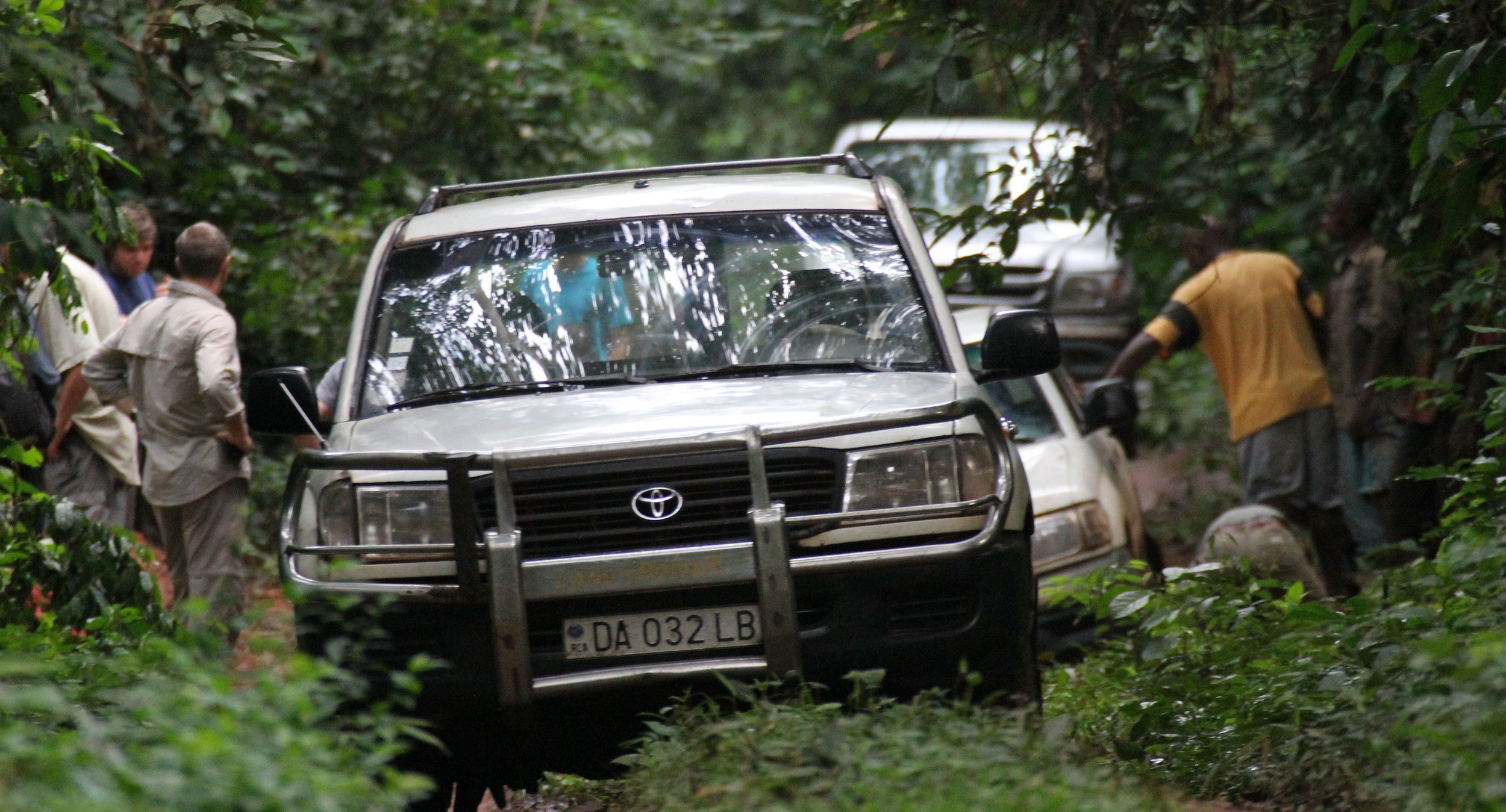 DZANGA NDOKI NATIONAL PARK CENTRAL AFRICAN REPUBLIC (9).JPG