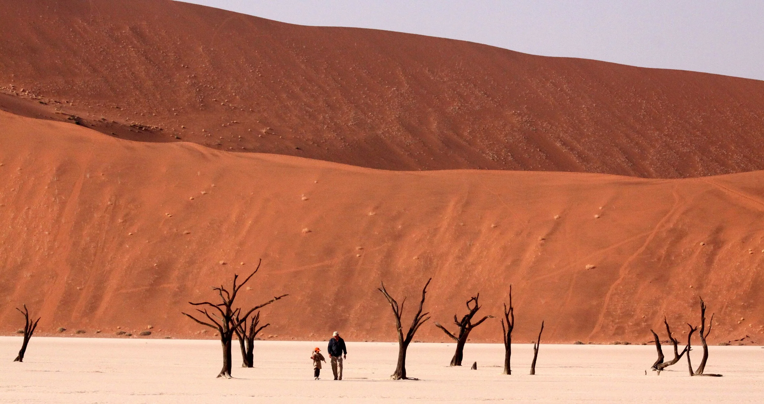 SOSSUSVLEI, NAMIB NAUKLUFT NATIONAL PARK, NAMIBIA - DEAD VLEI (48).JPG