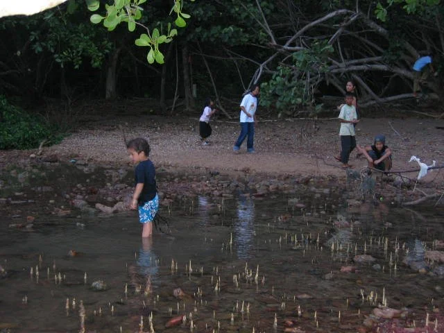 KOH LANTA - PROPERTY - 2005.jpg