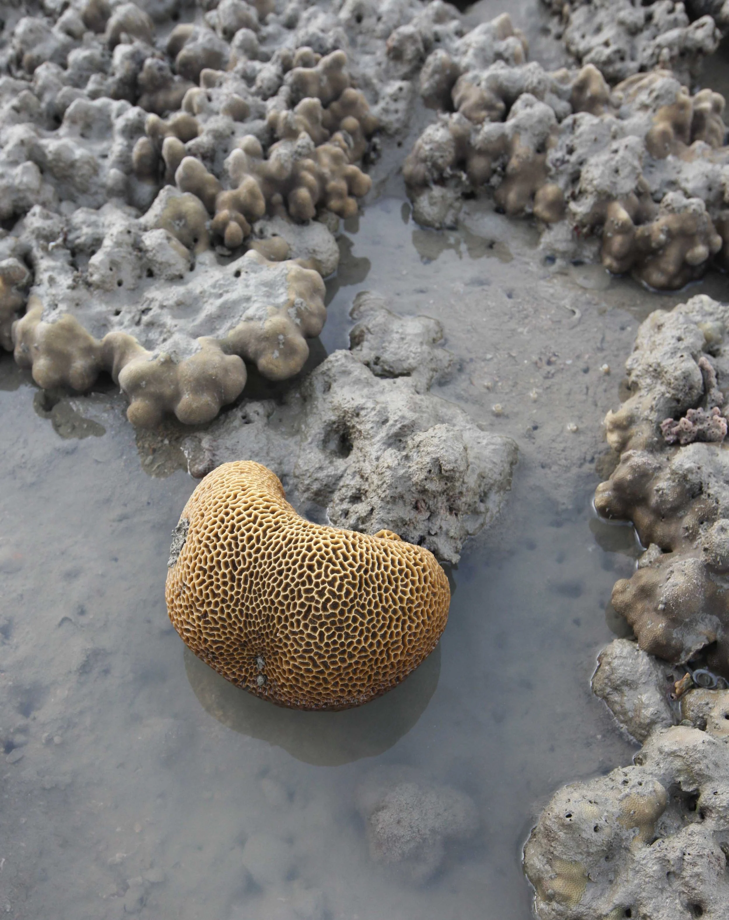 2015 Koh Lanta Songkran with friends from ISB (243).JPG
