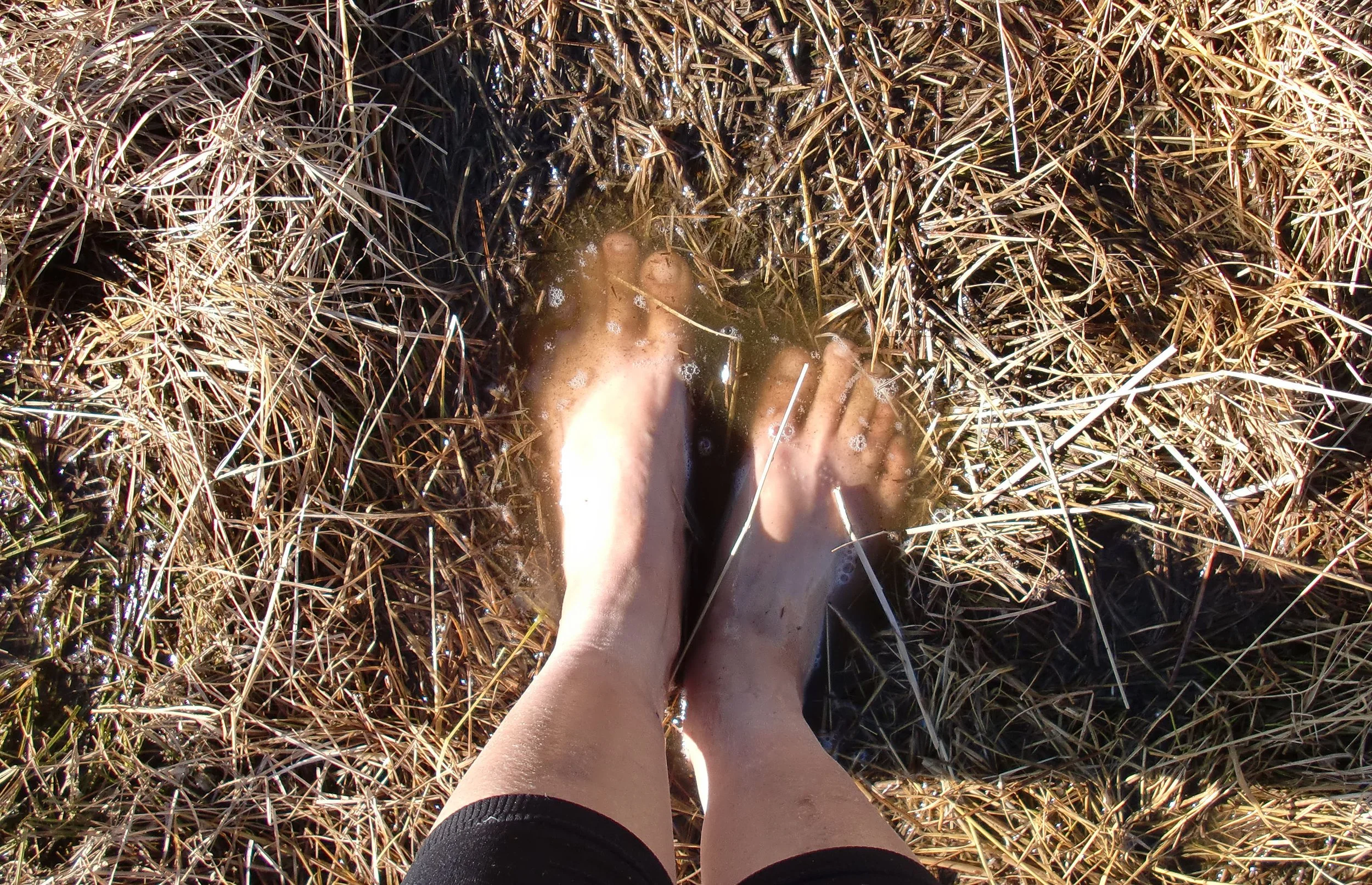 YUNNAN - NAPAHAI WETLANDS RESERVE (5).JPG