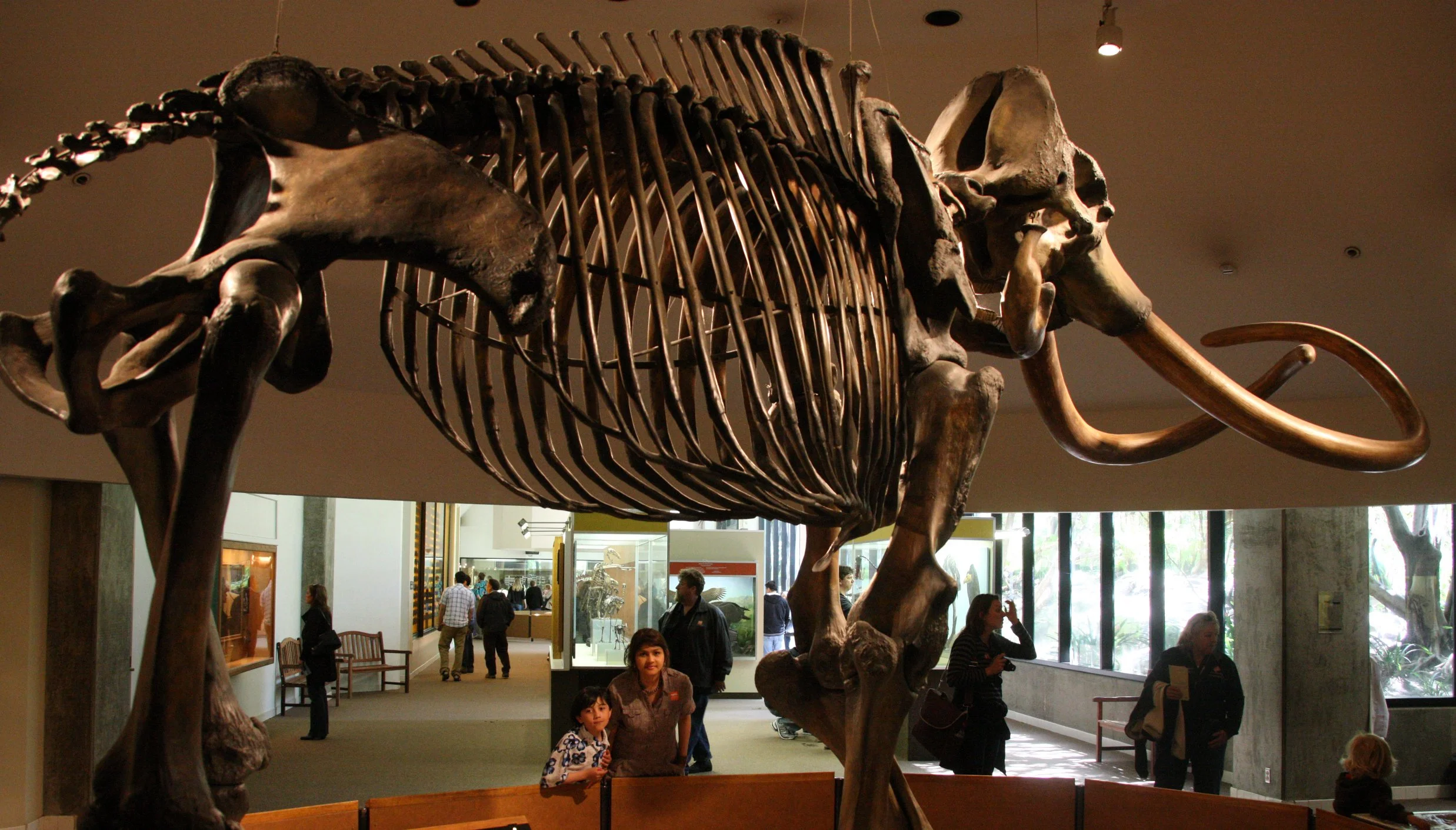 2010-4-5 LA BREA TAR PITS LOS ANGELES (2).JPG