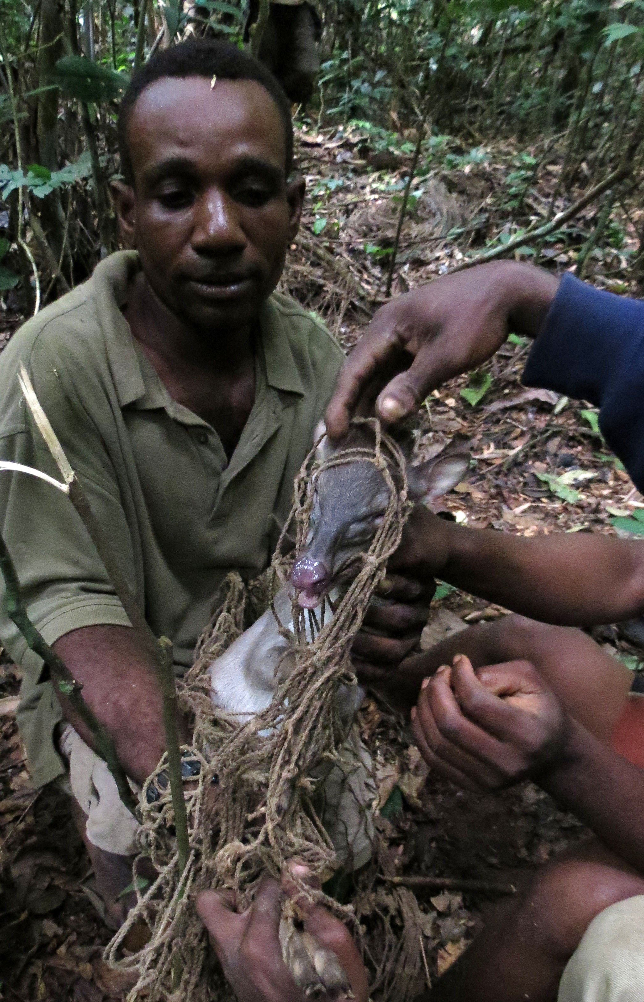 SANGHA RESERVE - BA'AKA HUNT - CENTRAL AFRICAN REPUBLIC (20).JPG