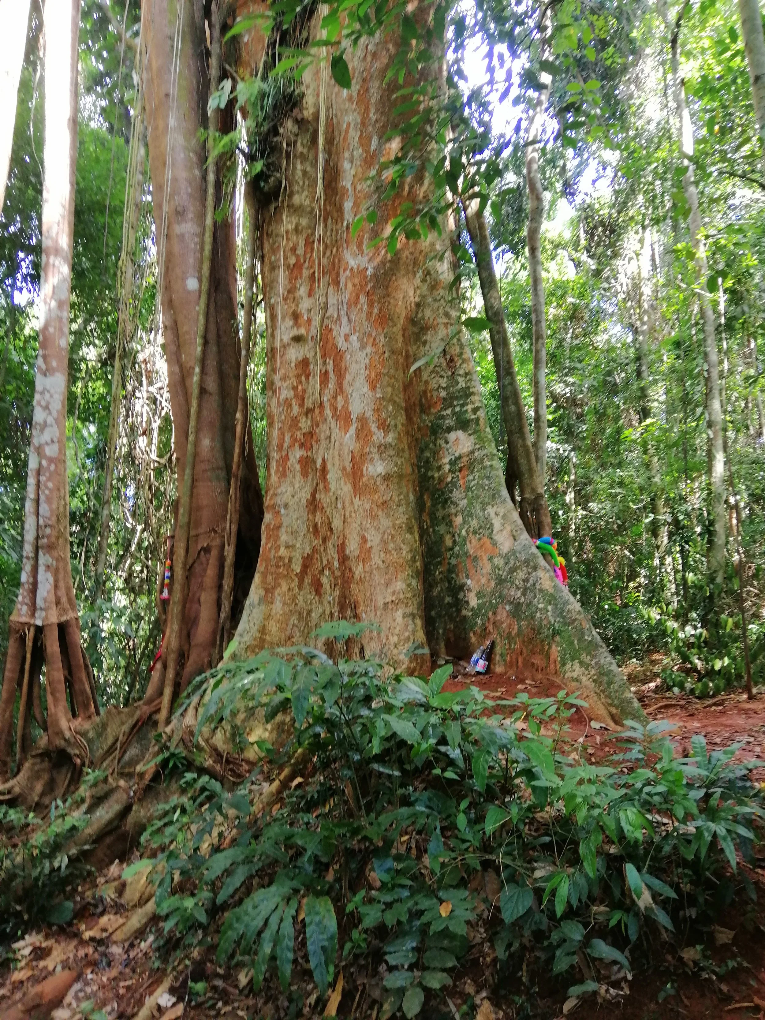 2019 Koh Kood Road Trip (59).jpg