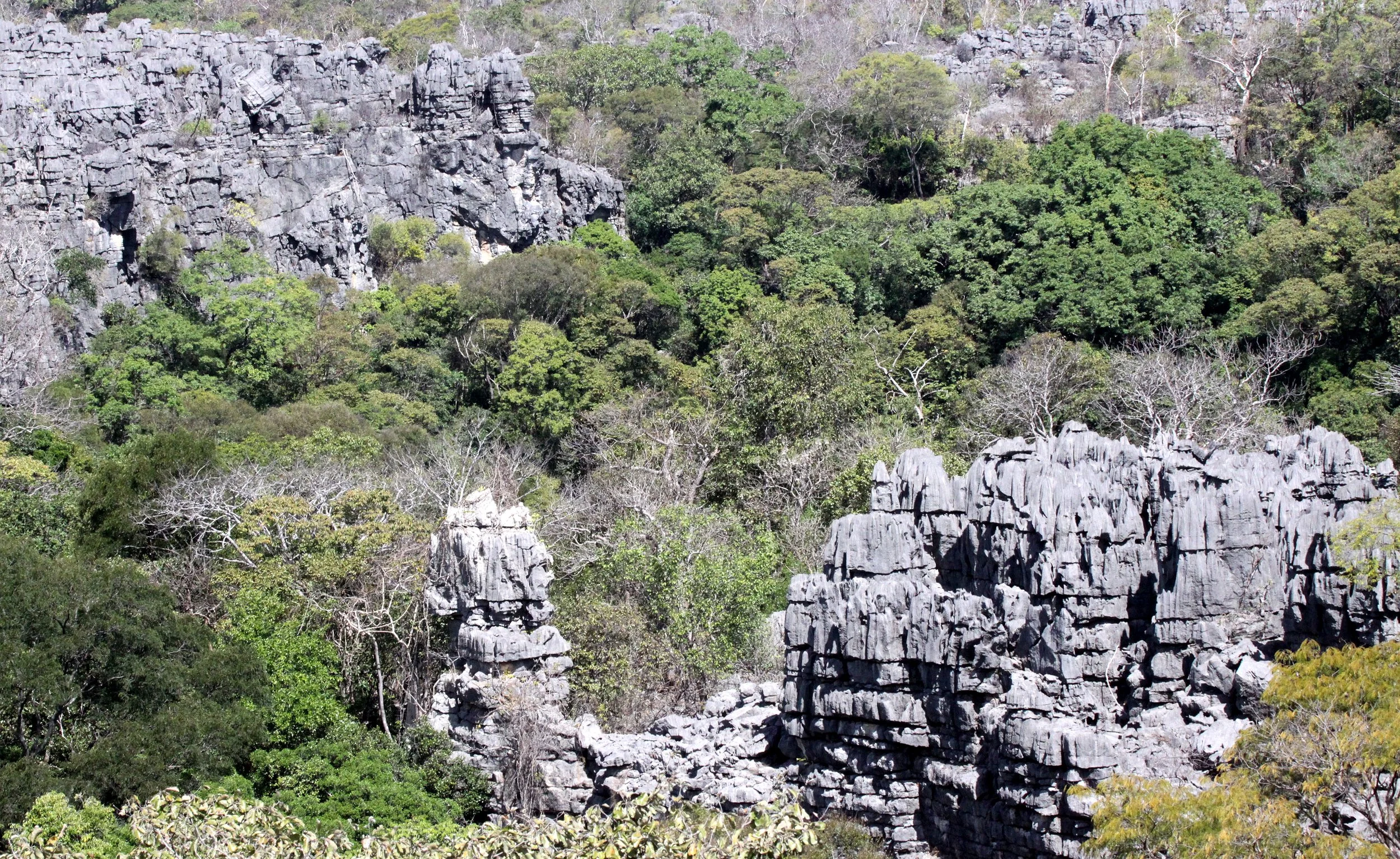 ANKARANA NATIONAL PARK MADAGASCAR - TSINGY FOREST (52).JPG