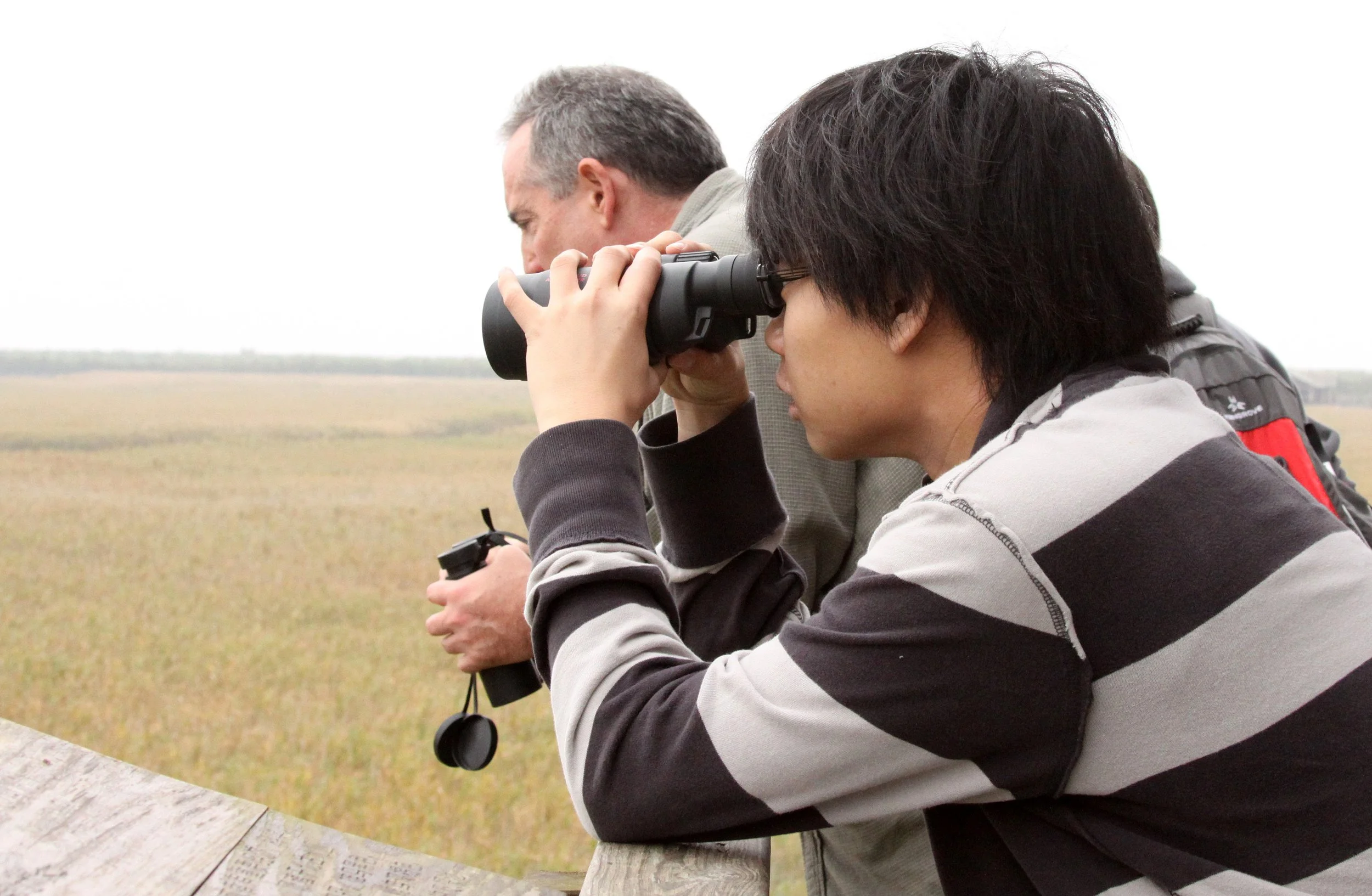 CHONGMING ISLAND DONGTAN WETLANDS RESERVE FIELD TRIP 2011 (35).JPG