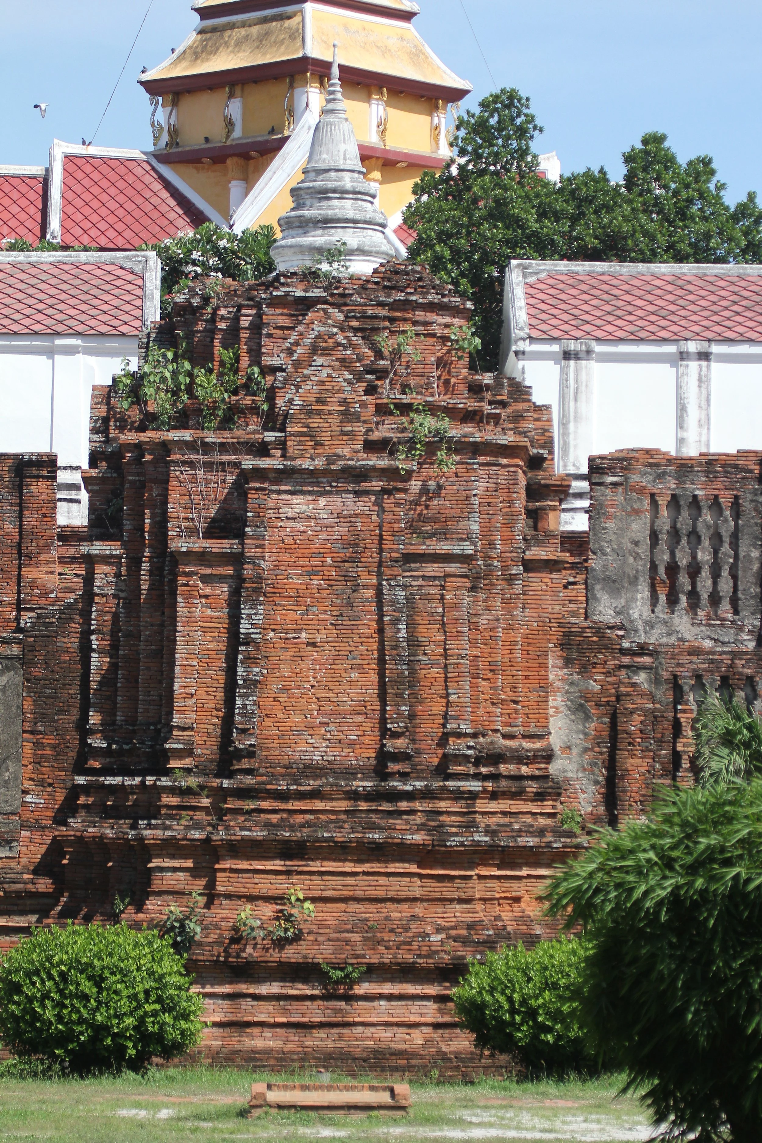 2020 - Ayutthaya Cokie's Pictures (222).JPG
