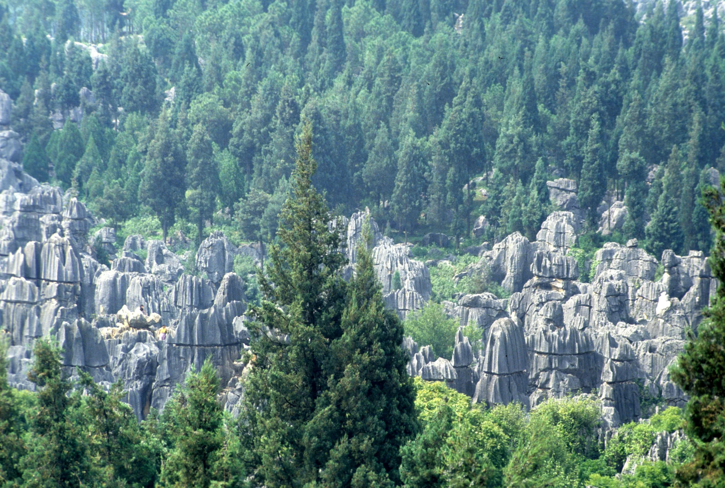 STONE FOREST - KUNMING CHINA (4).jpg