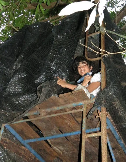 Cokie trying to convince me there is an actual leopard in the lick!