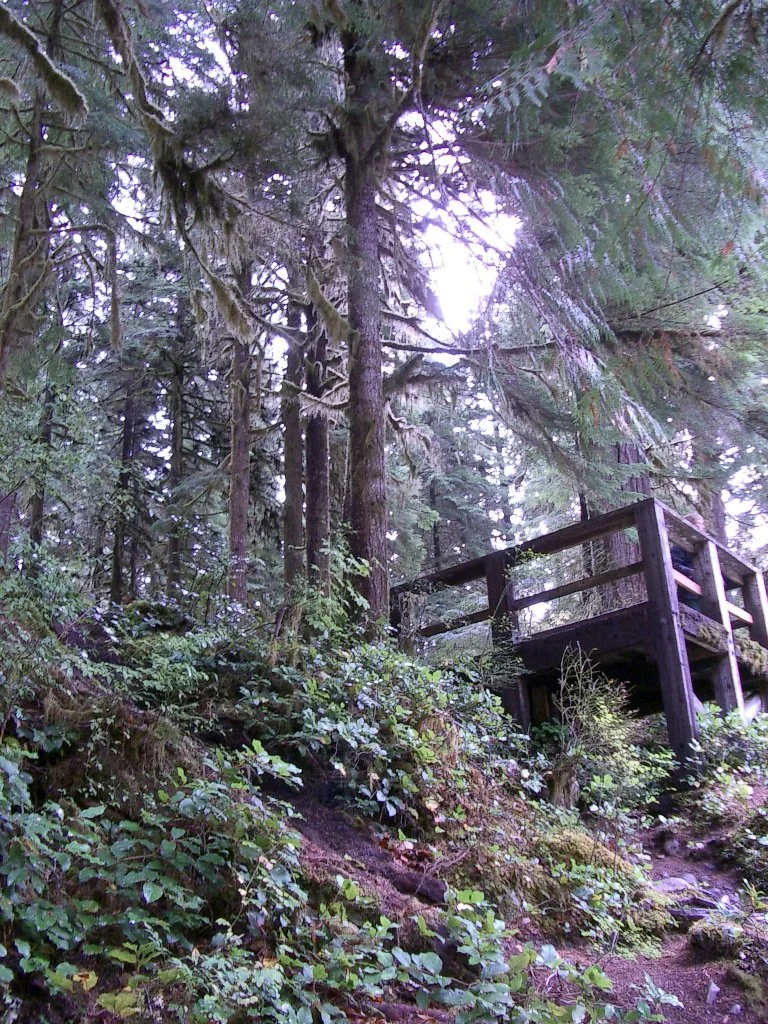 2003-10-11 TRIP TO WESTEND OF OLYMPIC PEN AND SOL DUC FALLS (2).JPG