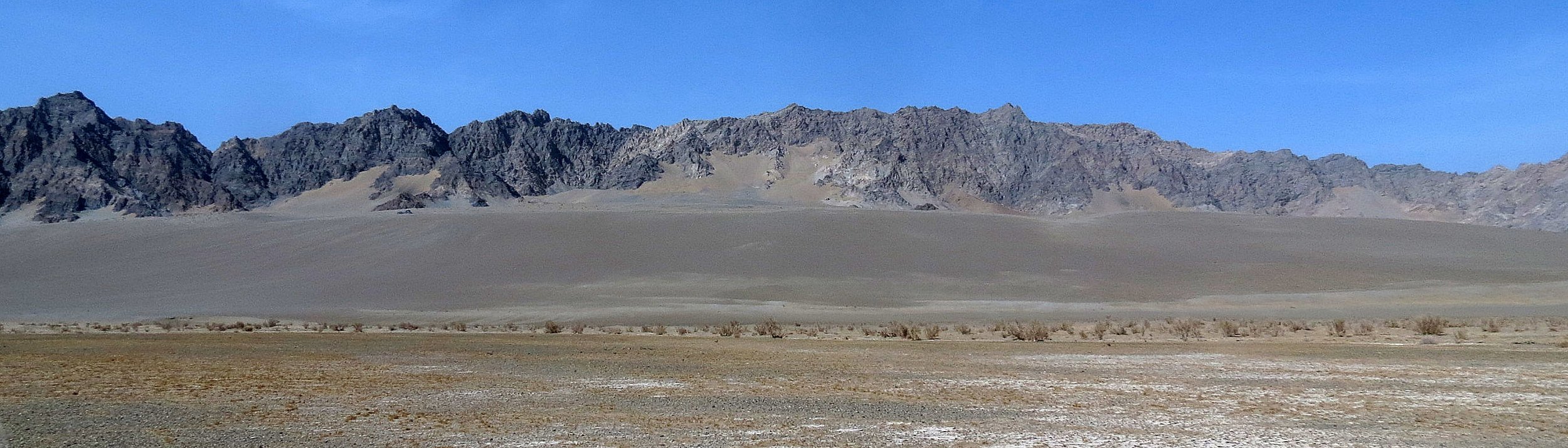 LOP NUR WILD BACTRIAN CAMEL RESERVE - XINJIANG CHINA (11).JPG