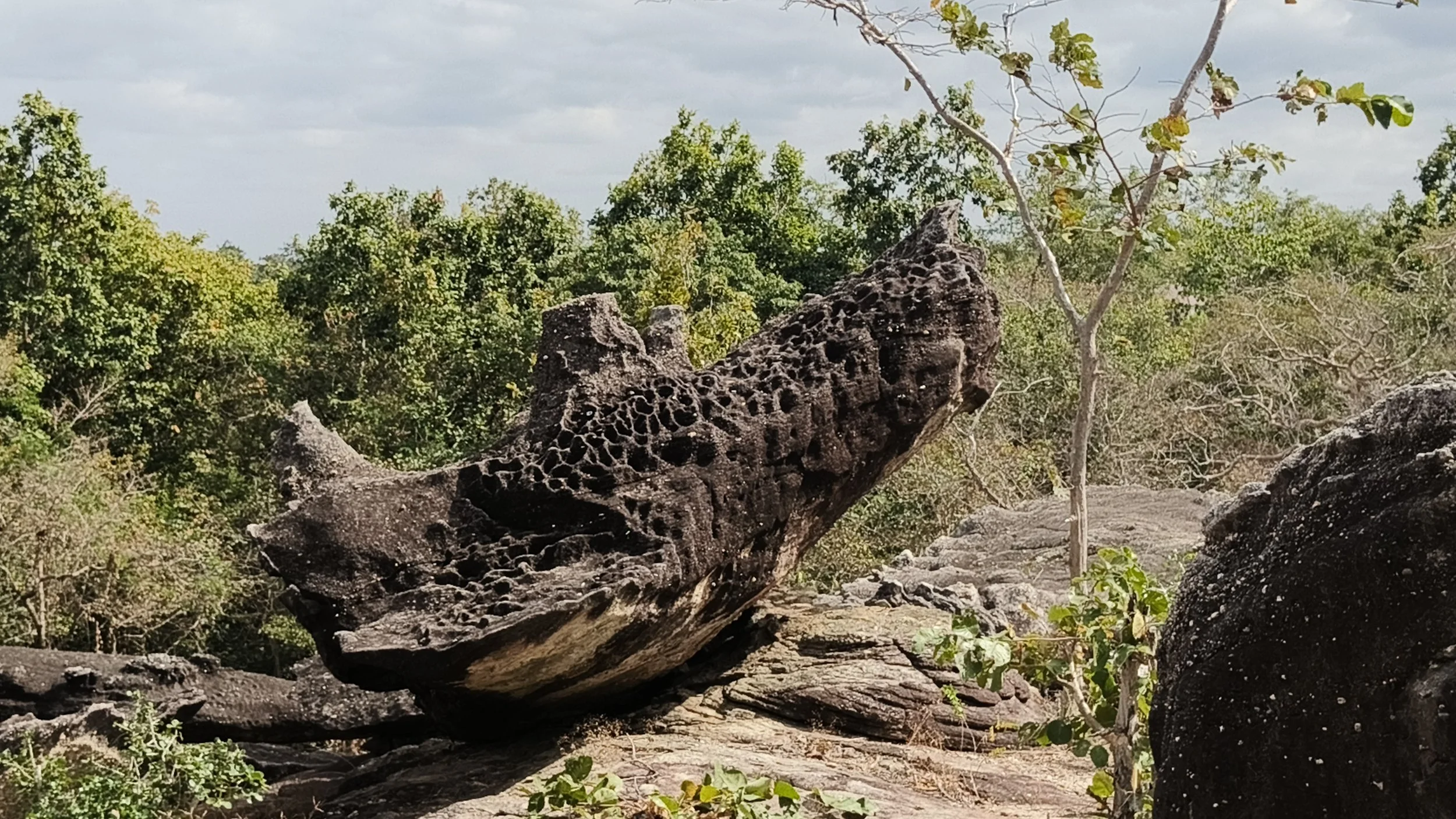  Phu Pha Thoep National Park - Mukdahan Thailand (1).jpg