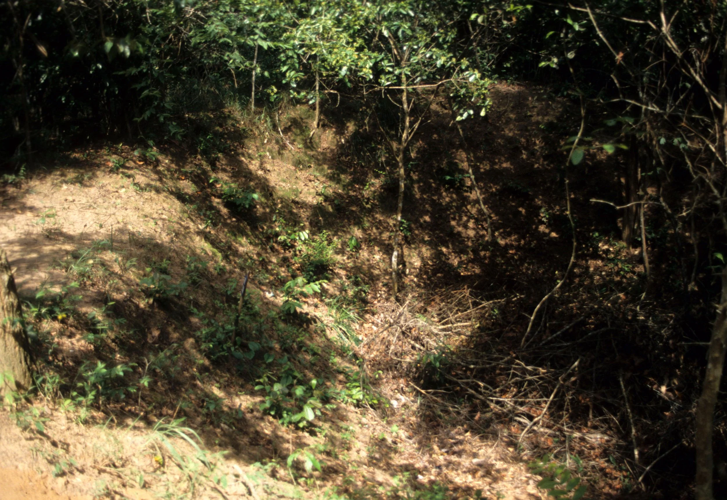 MY LAI MASSACRE SITE (5).jpg