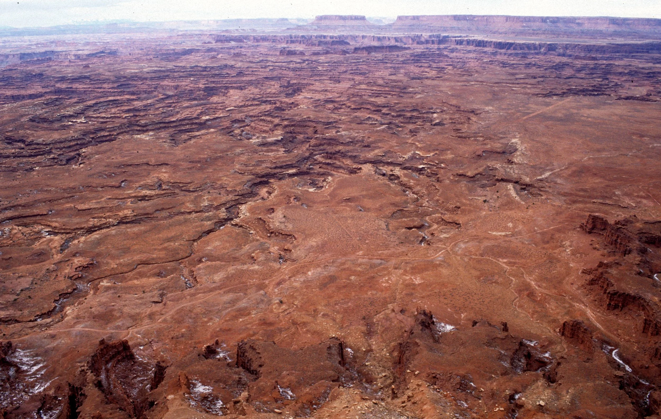 UTAH - CANYONLANDS NP D (2).jpg