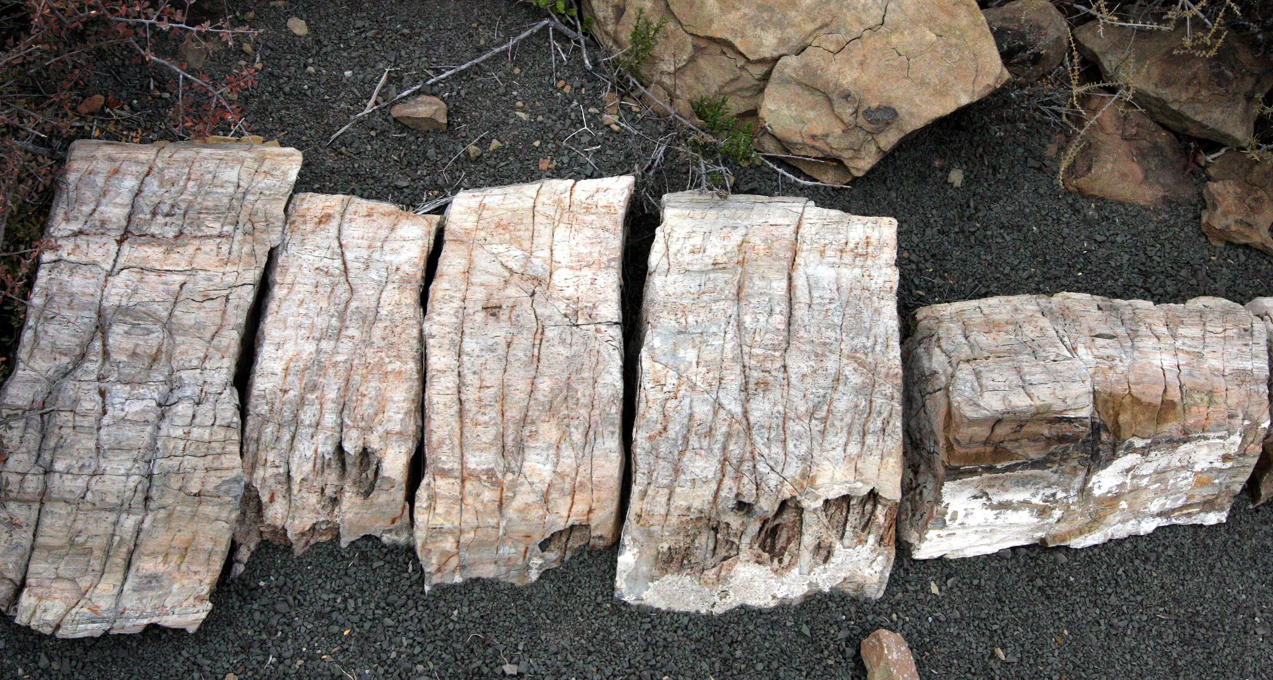 KAROO NATIONAL PARK SOUTH AFRICA - FOSSILS (2).JPG
