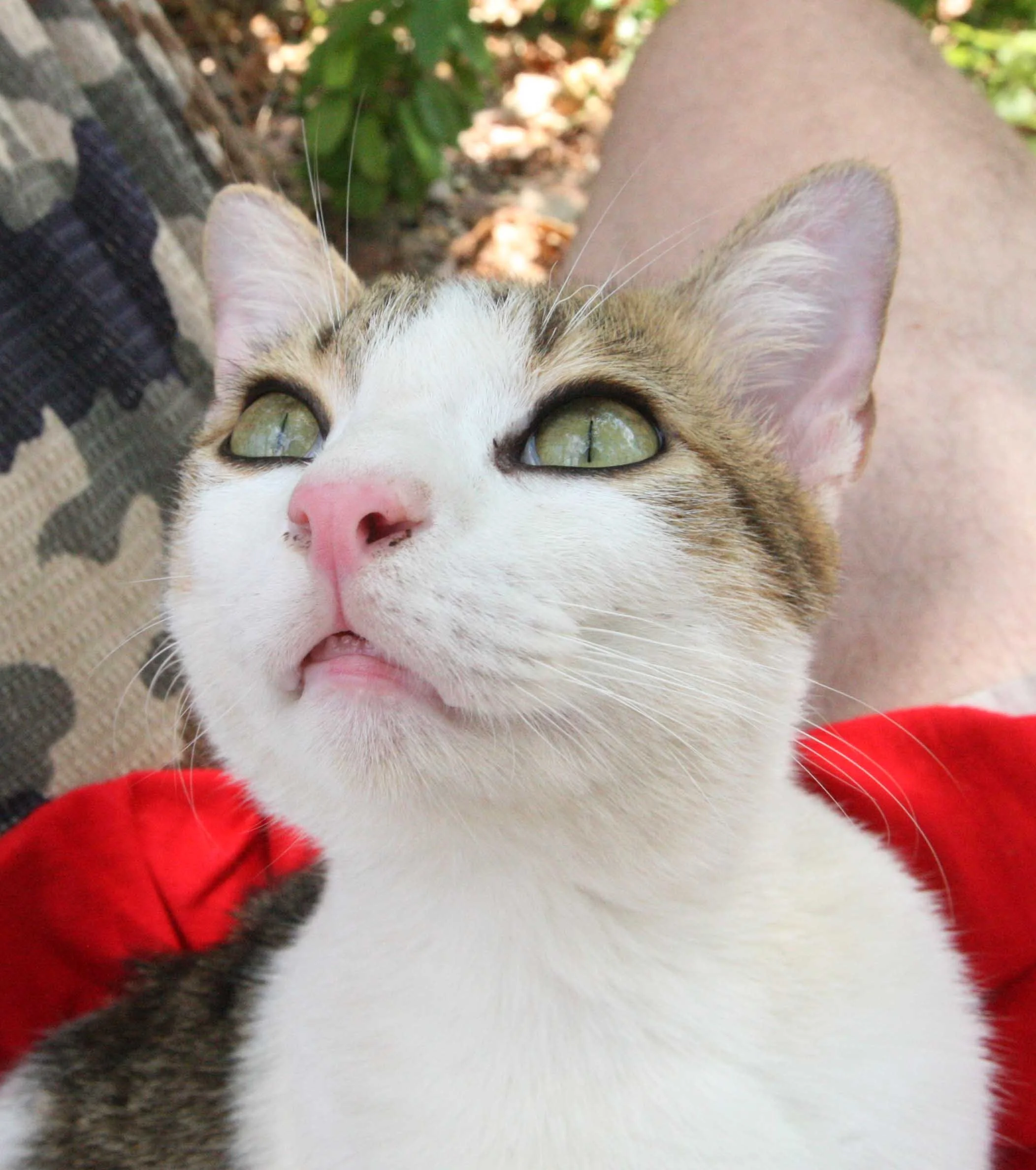 2015 Koh Lanta Songkran with friends from ISB (274).JPG