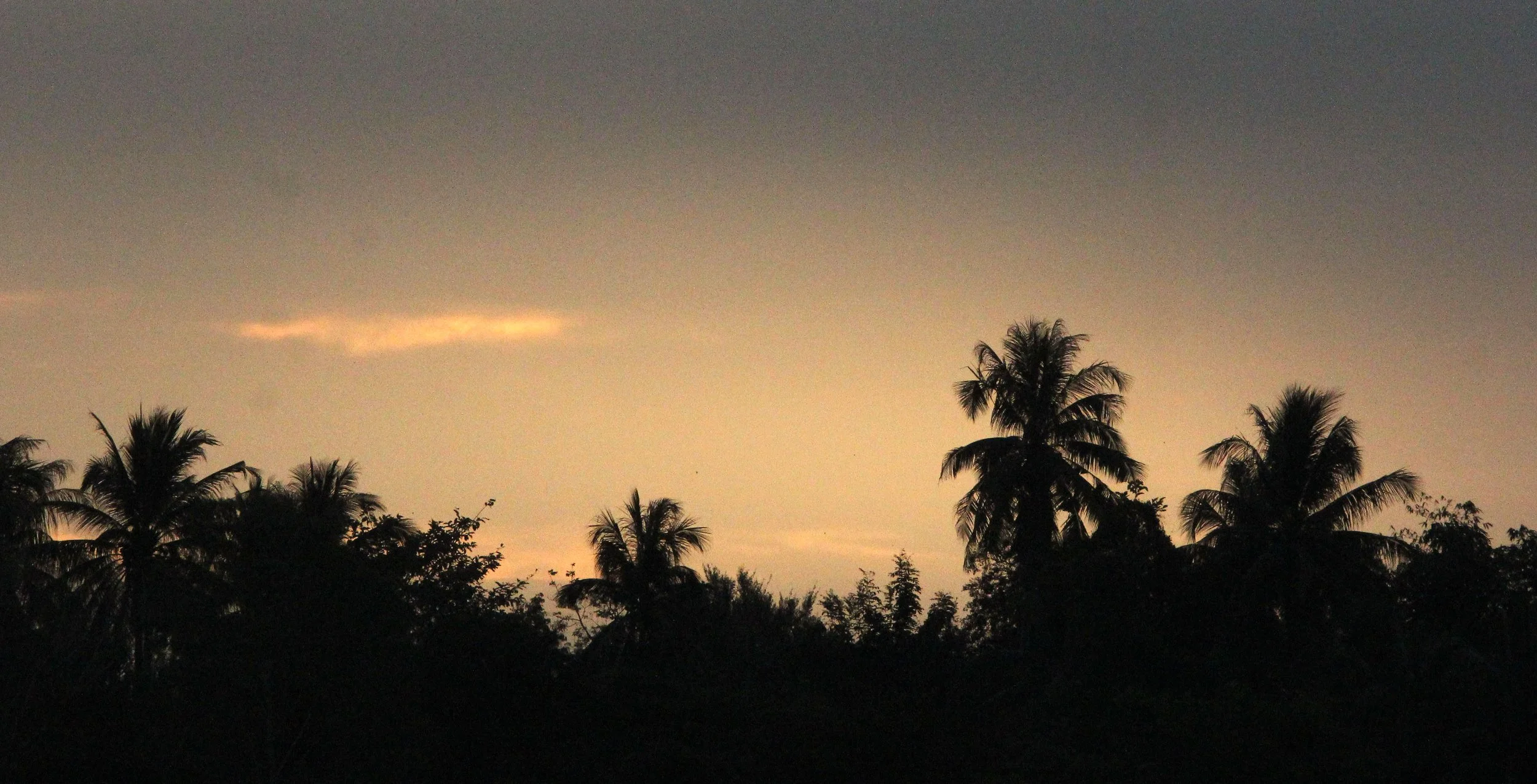 2018 Red Lotus Sea Wetlands Udon Thani Road Trip (85).JPG