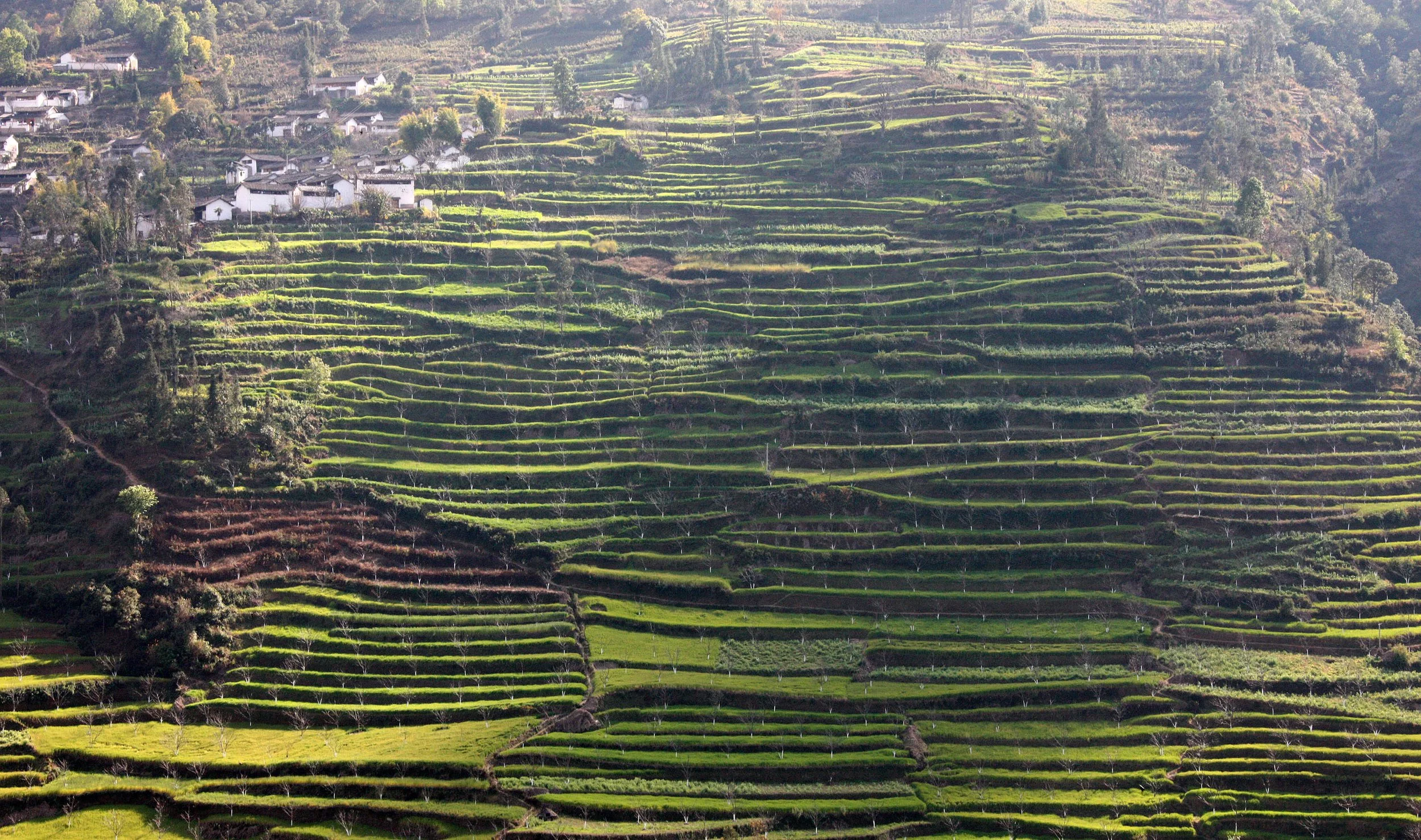 YUNNAN - NANJIAN TOWN AND SURROUNDING REGION (71).JPG