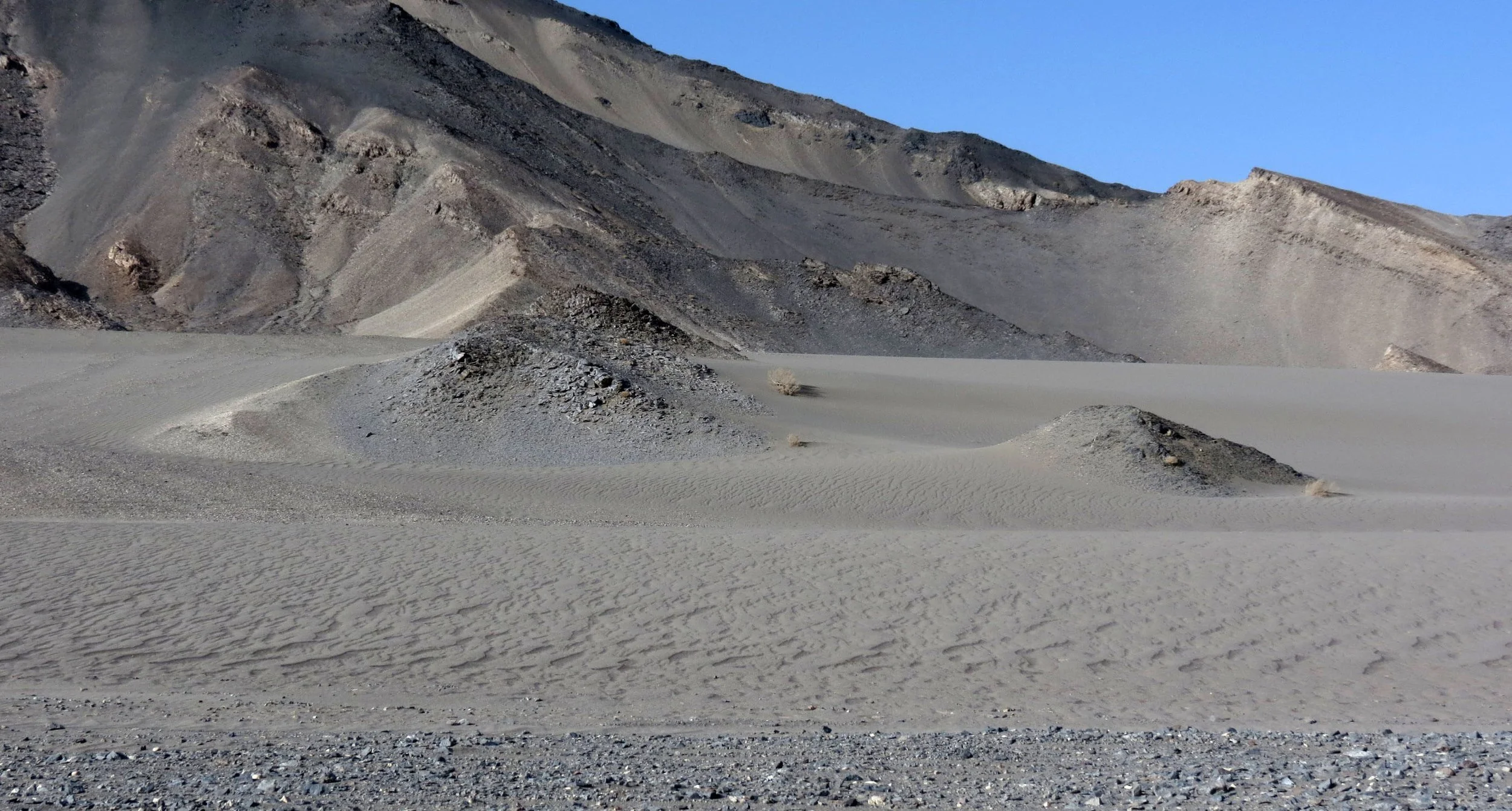 LOP NUR WILD BACTRIAN CAMEL RESERVE - XA GU WILDERNESS CAMPSITE - CHINA (51).JPG