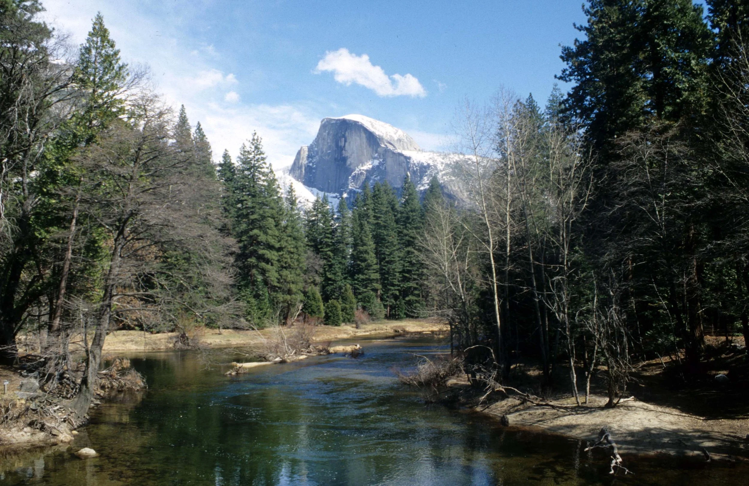 CALIFORNIA - YOSEMITE NP  (28).jpg