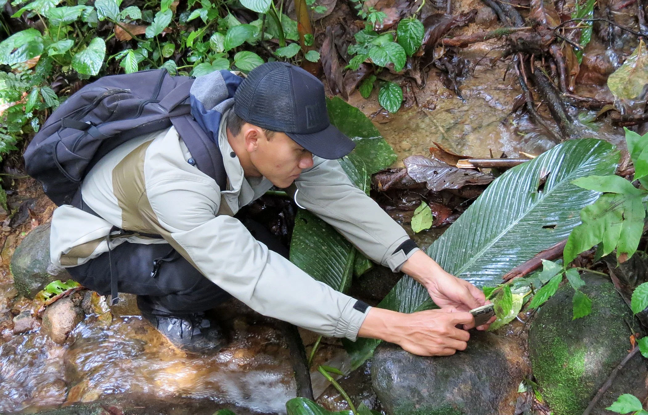 HALIMUN  NATIONAL PARK - JAVA BARAT INDONESIA (13).JPG