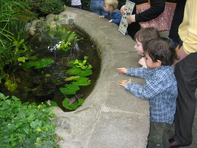 2005-10-29 DAY TRIP TO SEATTLE MUSEUMS AND AQUARIUM (5).JPG