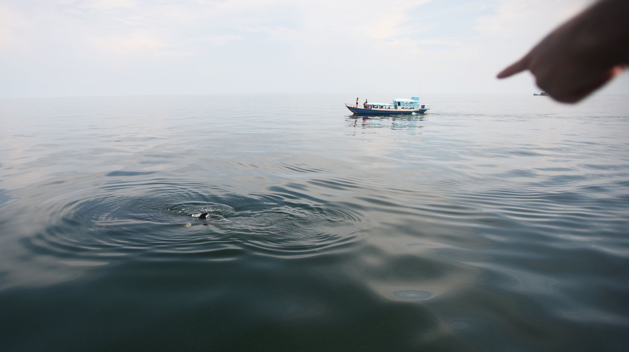 2014 Amphawa Trip to See Whales from Baan Taboon (48).JPG